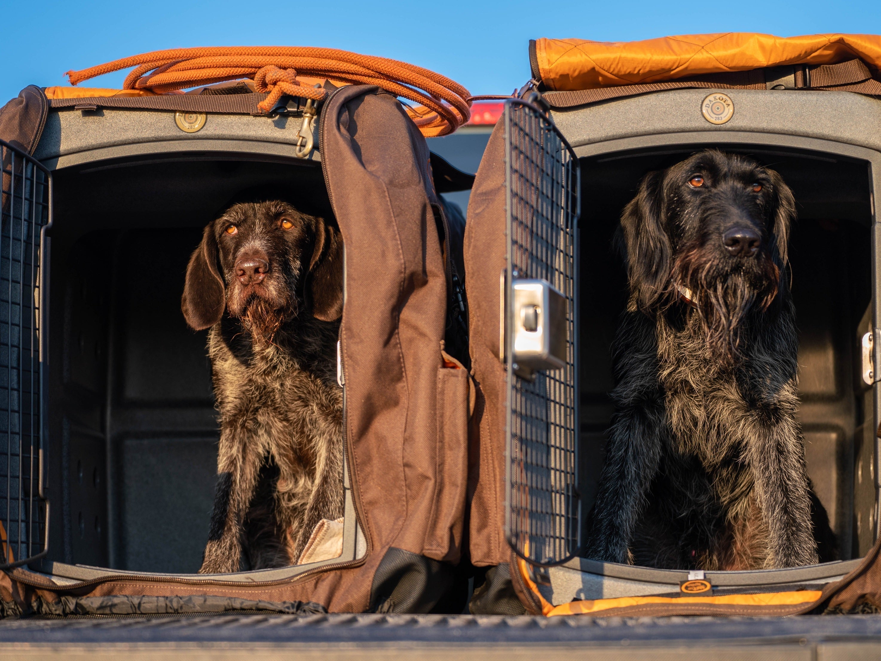 Which Dakota 283 Kennel Should I Buy? The Definitive G3, Hero, T1, & CRaTe Guide