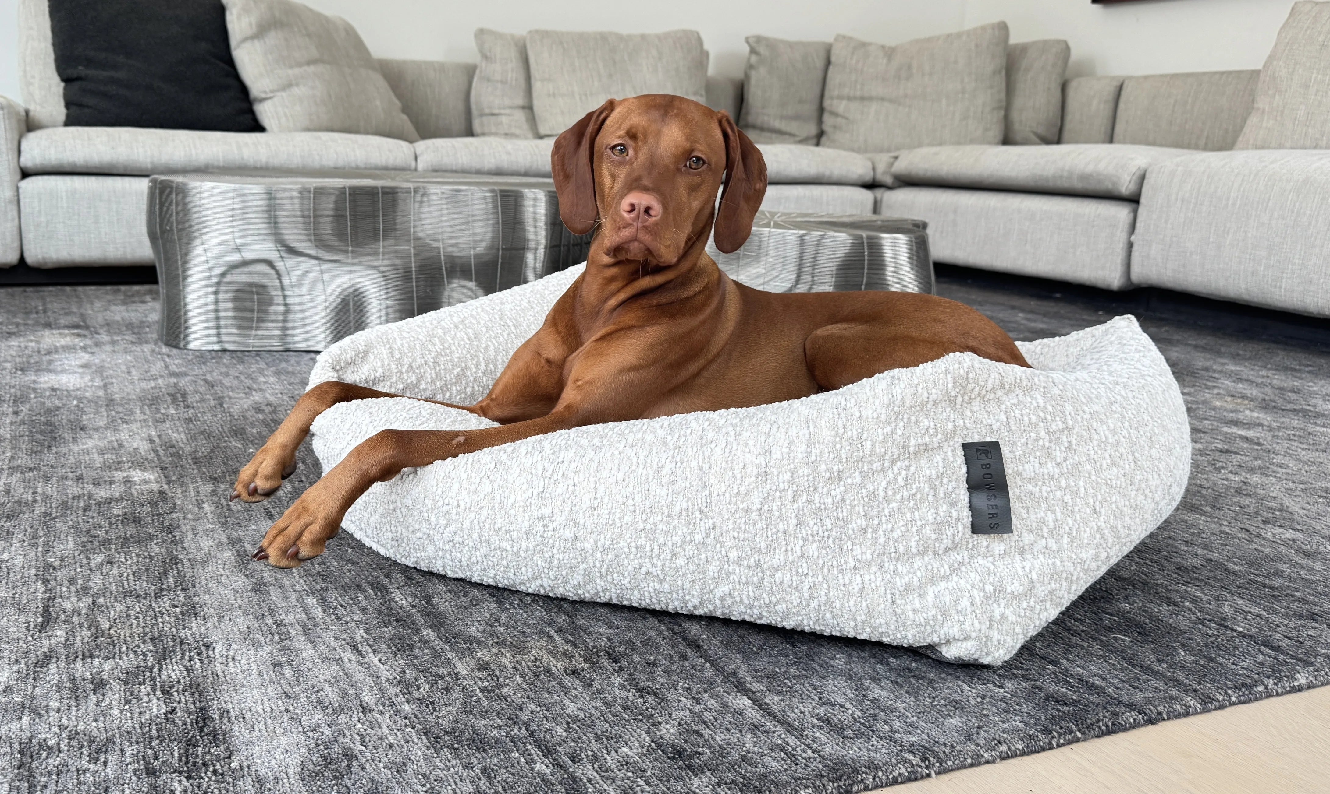 Supplier Spotlight: Why We Love Bowsers Pet Products — Made to Order, North American Sourcing, Built to Last