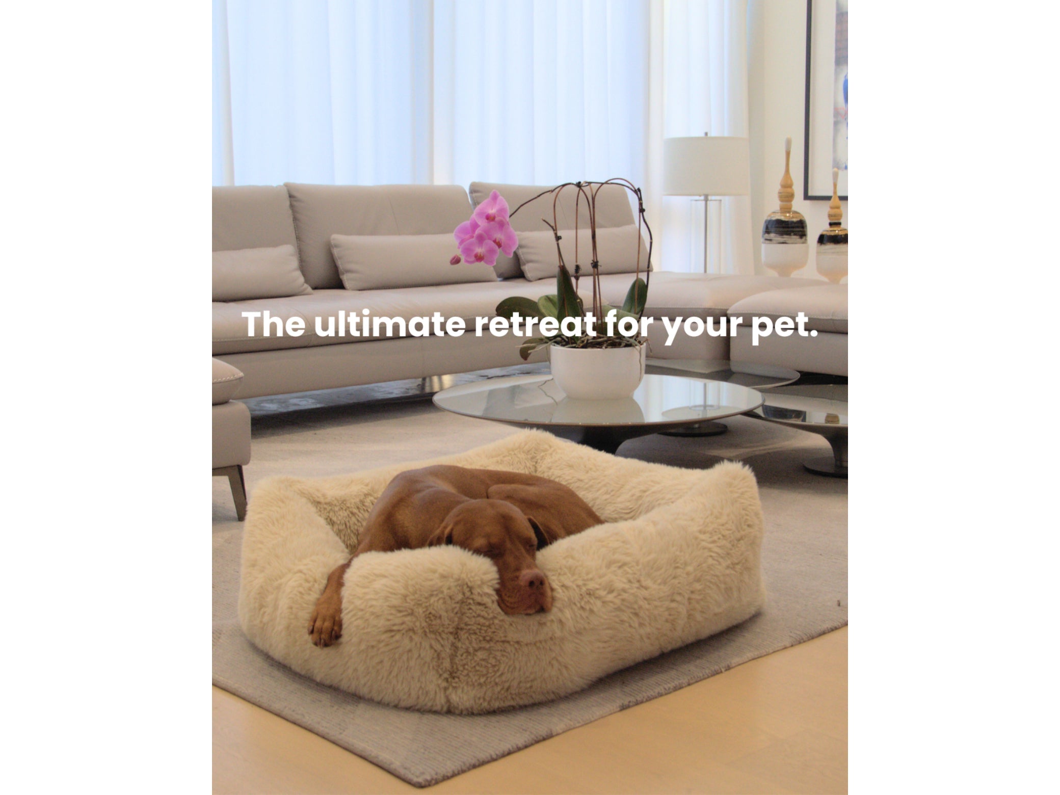 Bowsers Pet Products