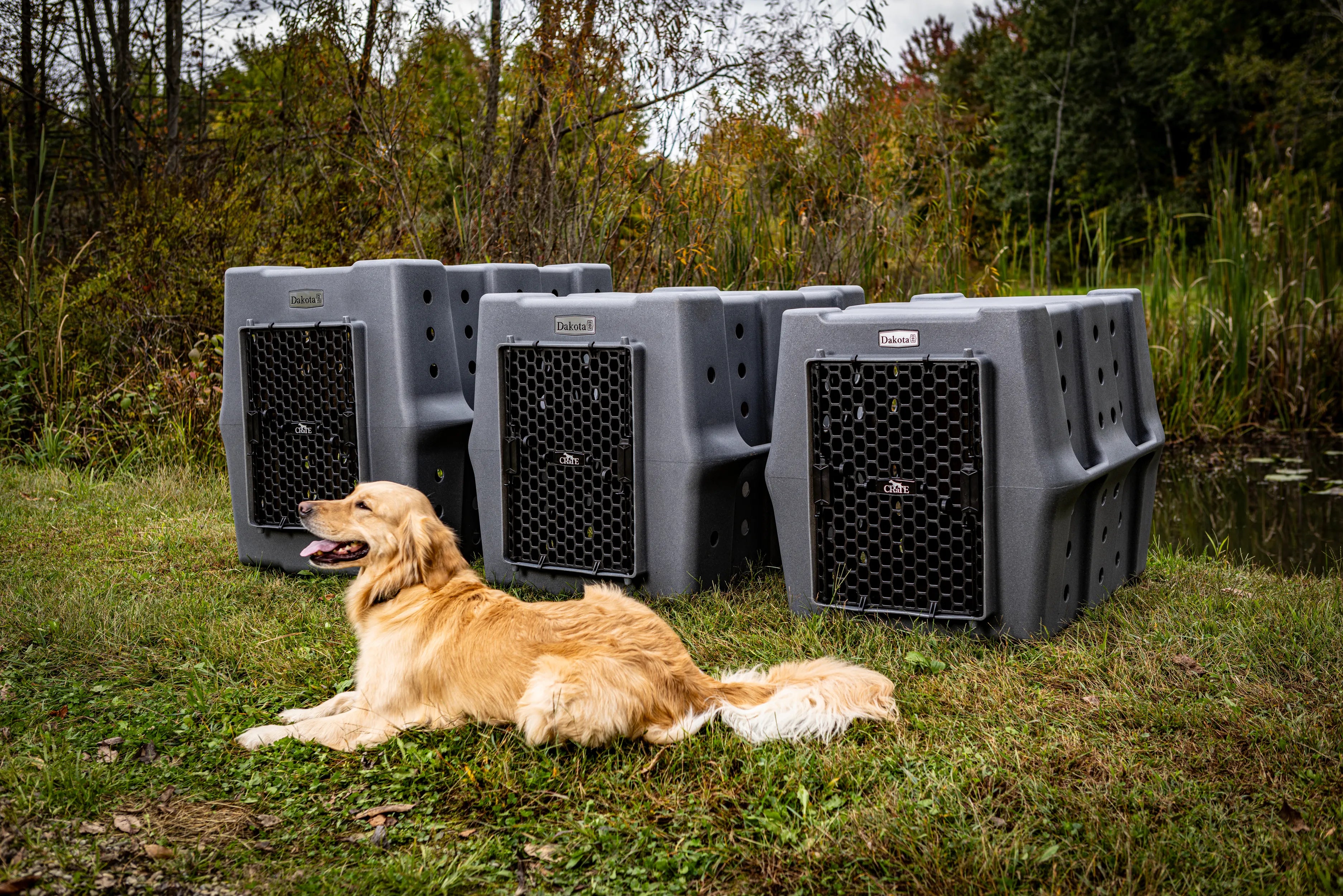 Reinforced One‑Piece High Impact CRaTe for Working and High‑Drive Dogs