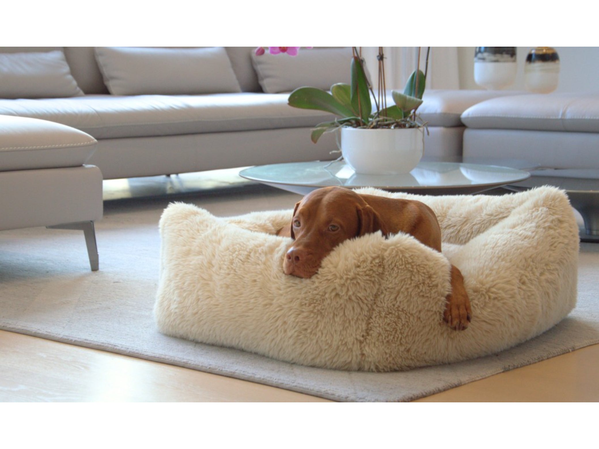 Fluffernutter Franklin Luxury Bed Set