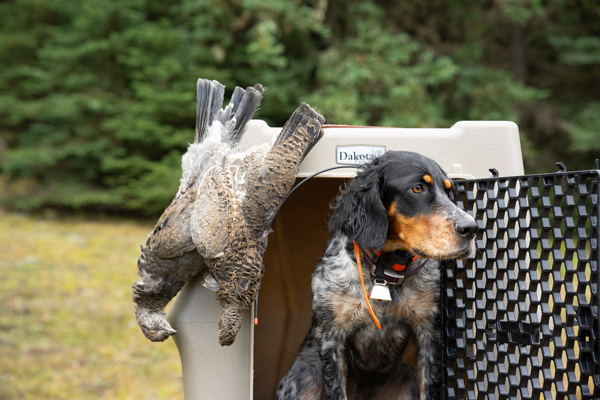 Reinforced One‑Piece High Impact CRaTe for Working and High‑Drive Dogs