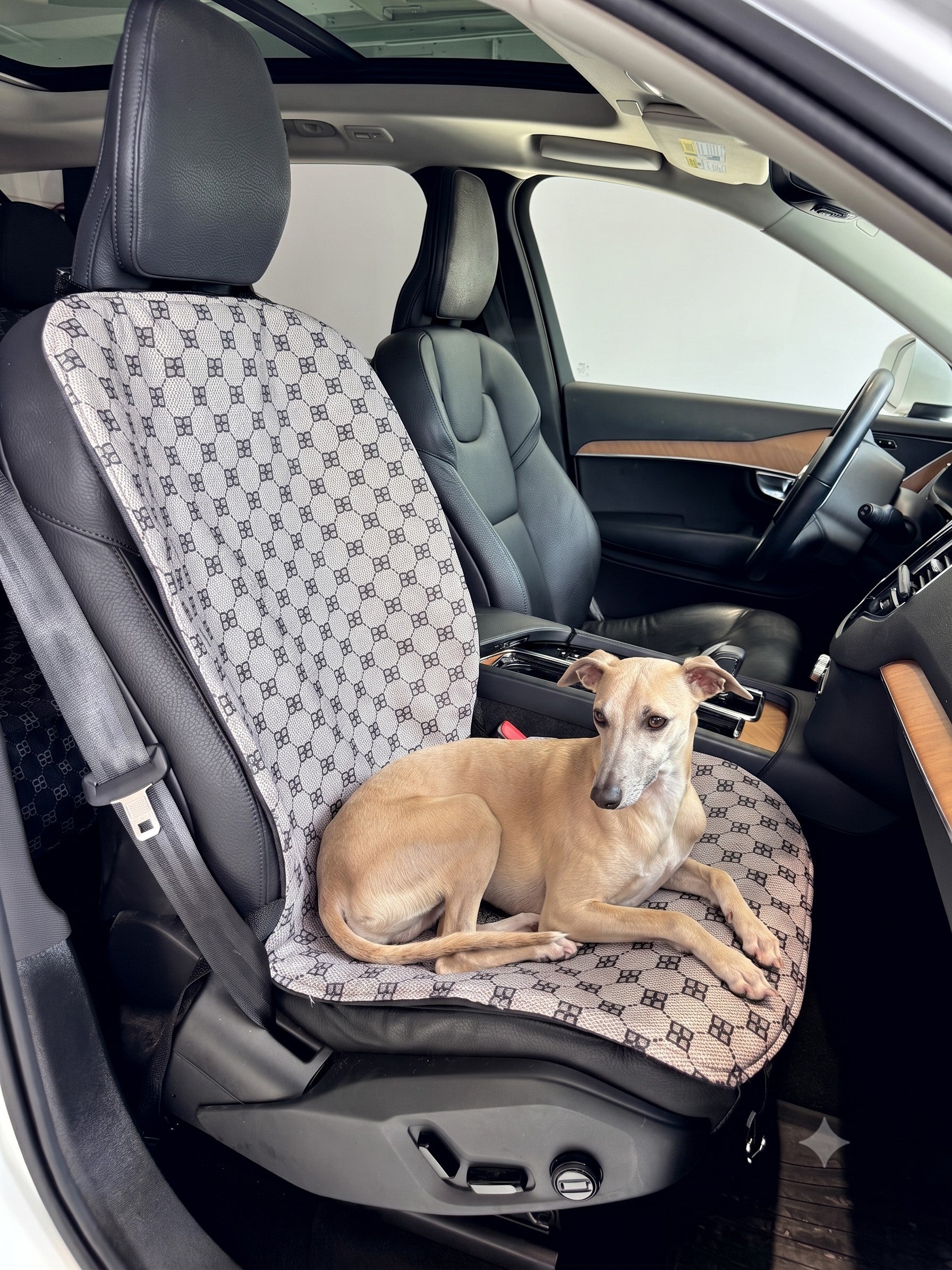 Bowsers Single Bucket Seat Cover Siganture Coco A light brown dog lies on a patterned car seat cover installed in a black car interior. The seat cover has a repeating beige and gray monogram-style pattern.