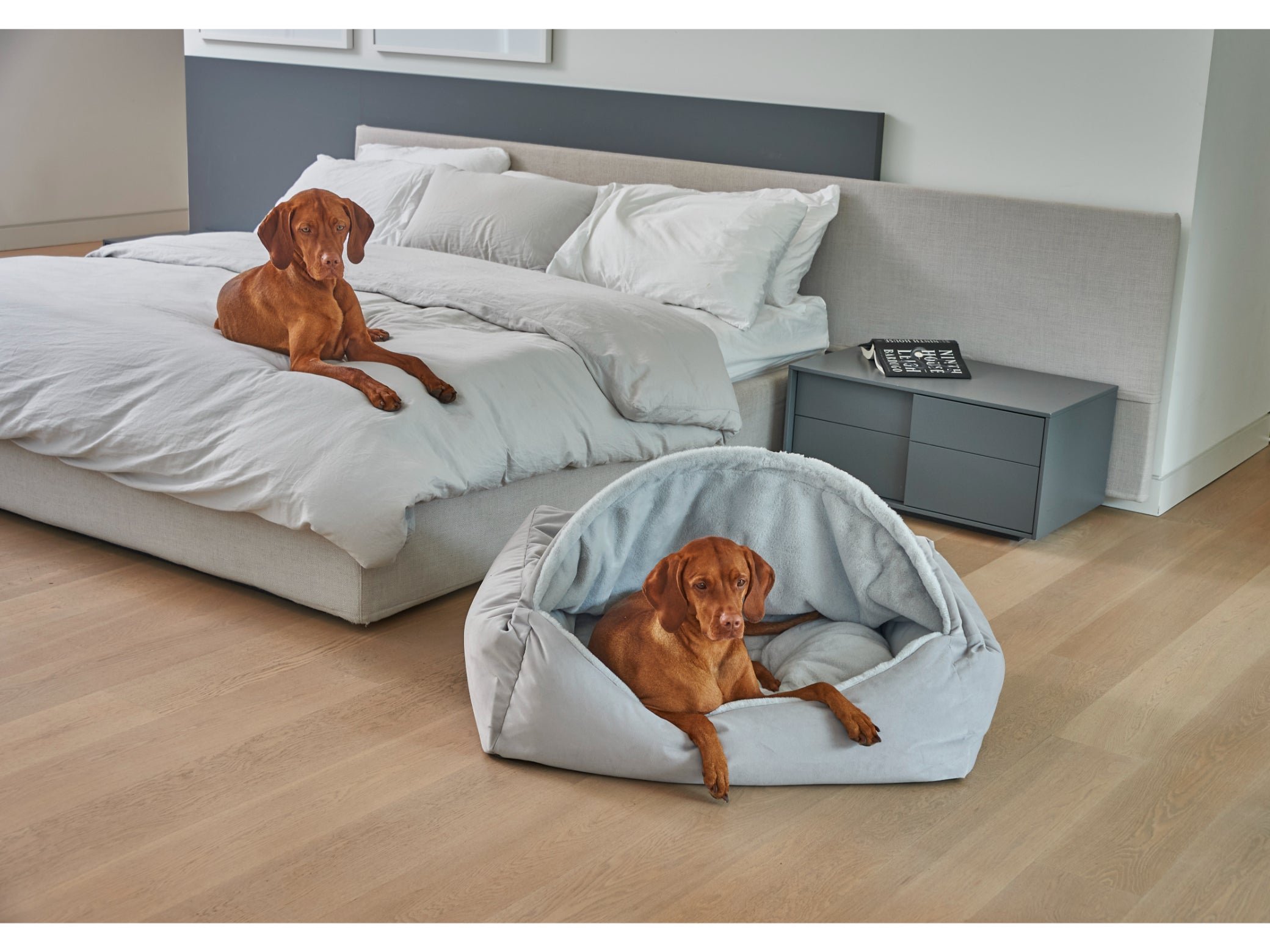 Canopy™ Bed – A Secure Retreat for Dogs Who Crave Comfort and Calm