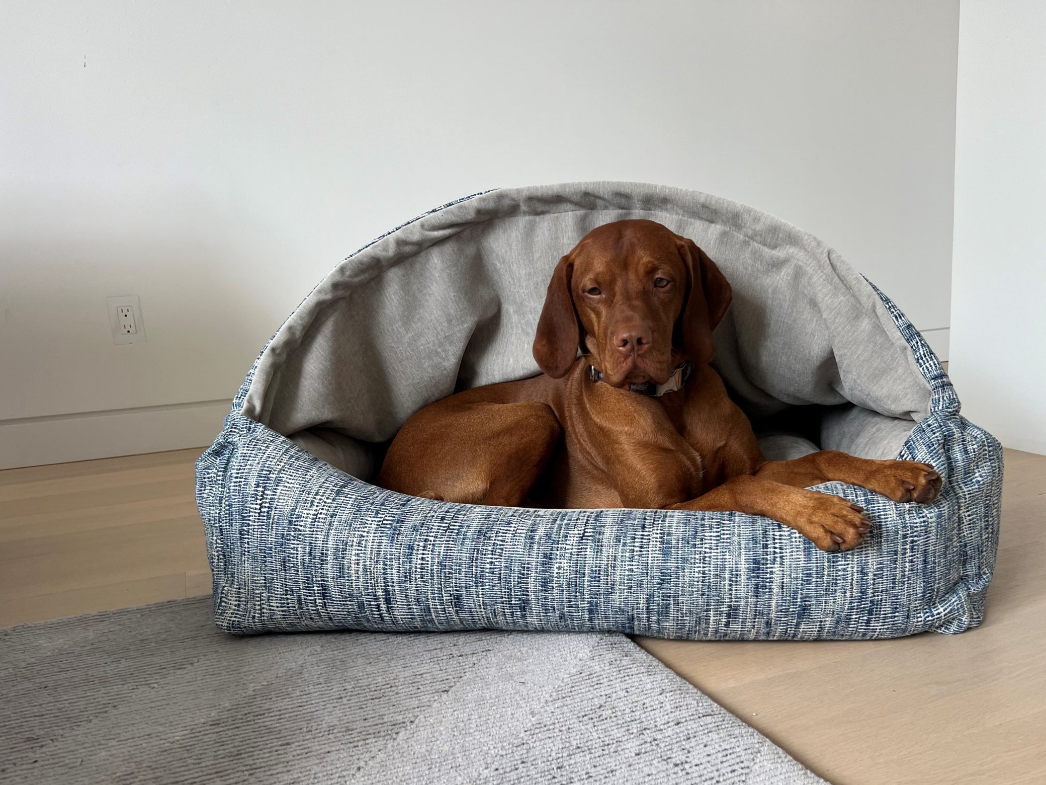 Canopy™ Bed – A Secure Retreat for Dogs Who Crave Comfort and Calm