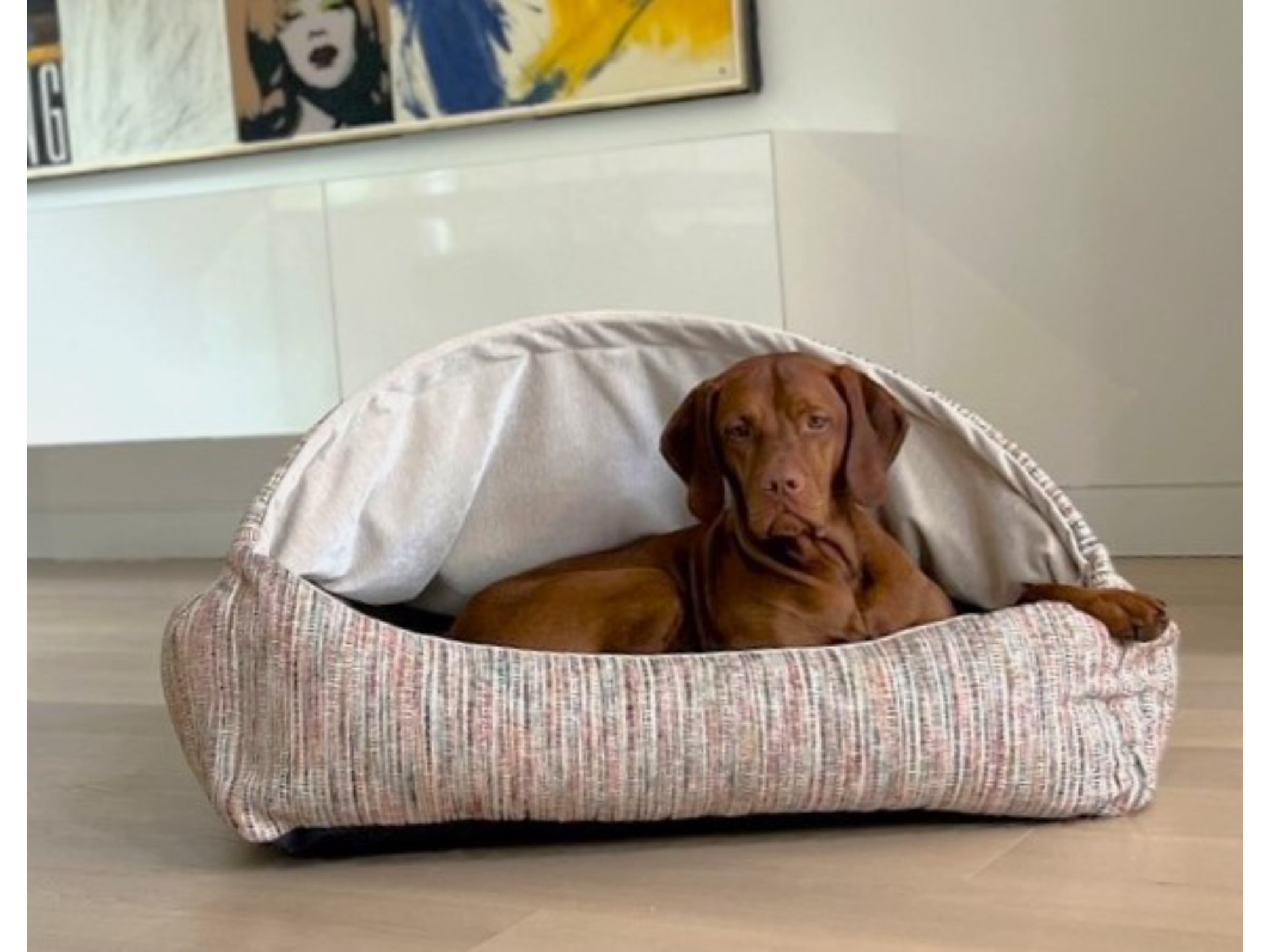 Canopy™ Bed – A Secure Retreat for Dogs Who Crave Comfort and Calm