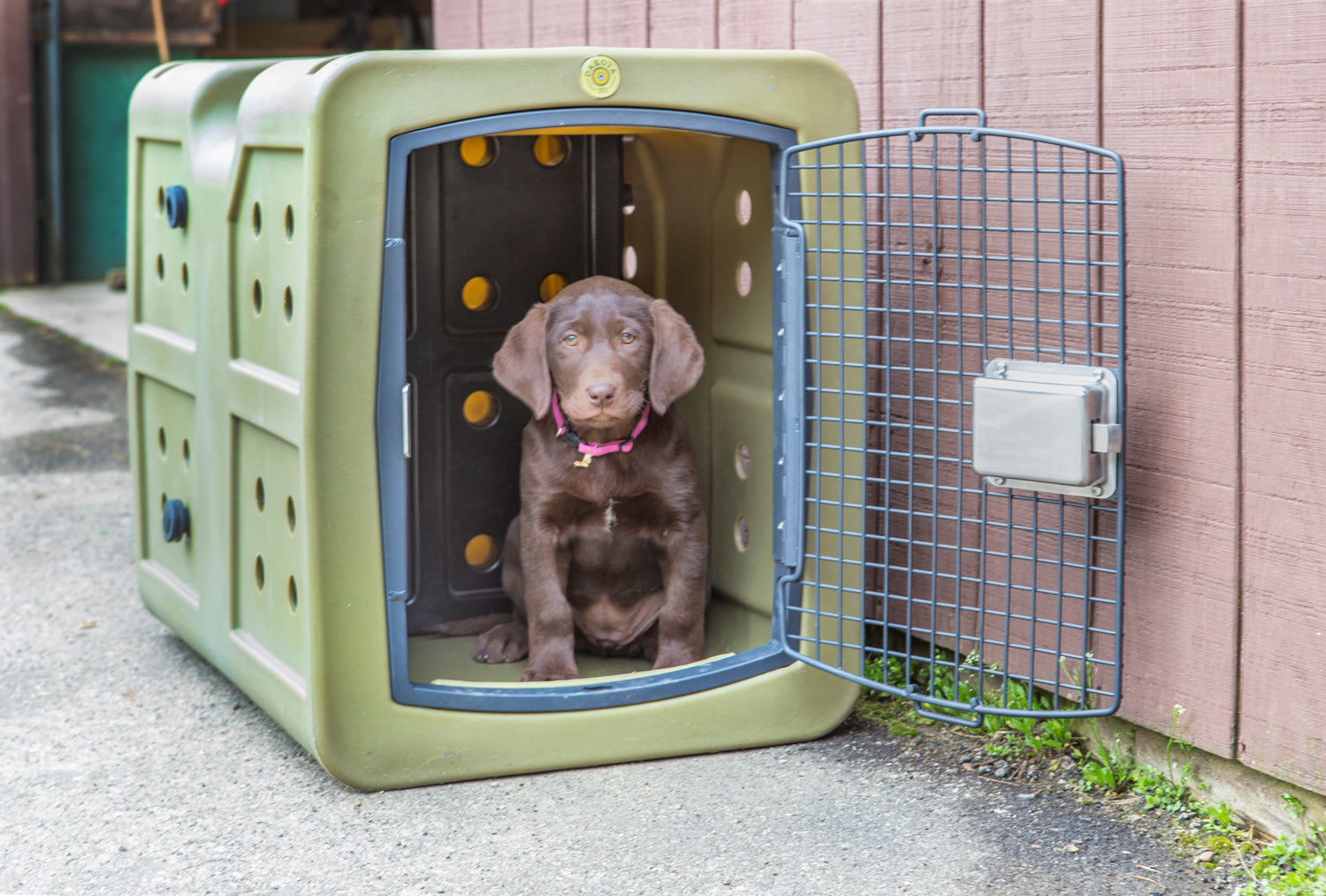 Grow‑With‑Me Puppy Divider for G3 Kennels with Dakota Guard Antimicrobial