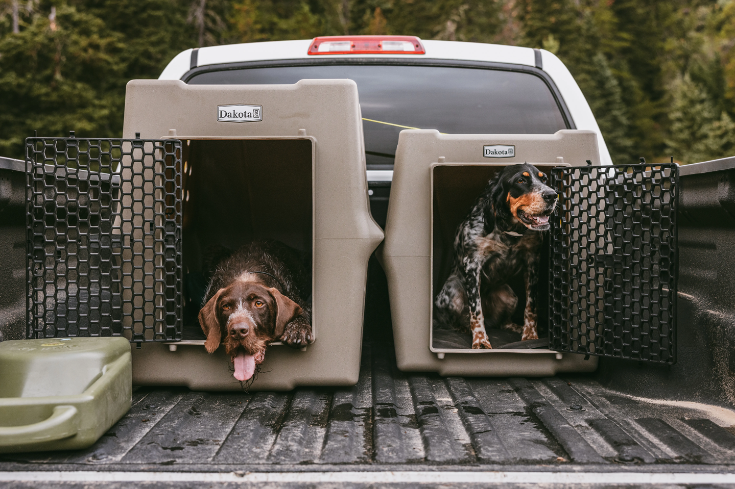 Dakota 283 Crate XL and Large Two dogs in pet crates in the back of a truck with a forest background