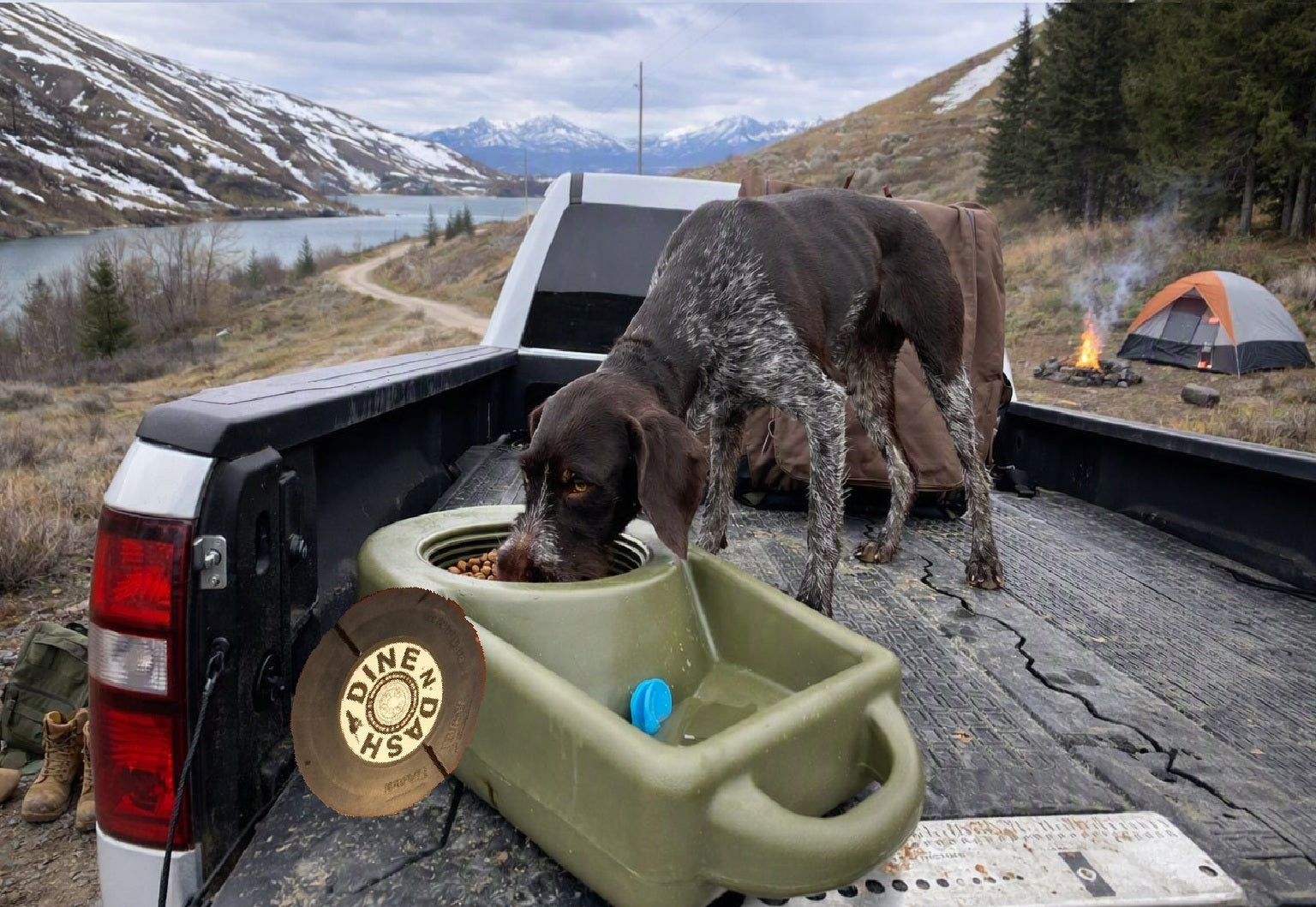 A dog eating from a Dash N Dine Portable Feeding and Watering outdoor water bowl in the bed of a pickup truck, with a snowy mountain lake, forest, and camping setup in the background.