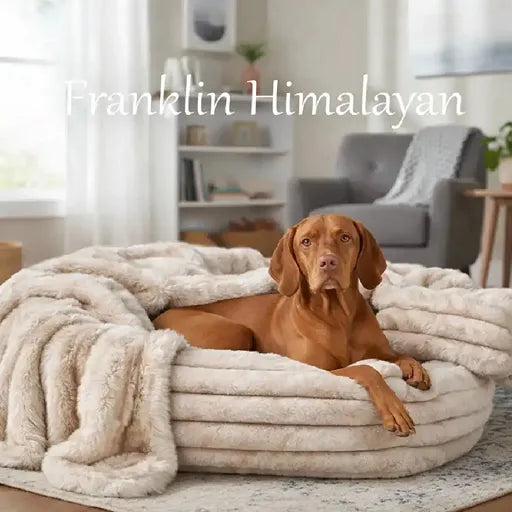 Bowsers pet products dog bed with upholstery grade fabric Himalayan Franklin Bed Set with matching blanket