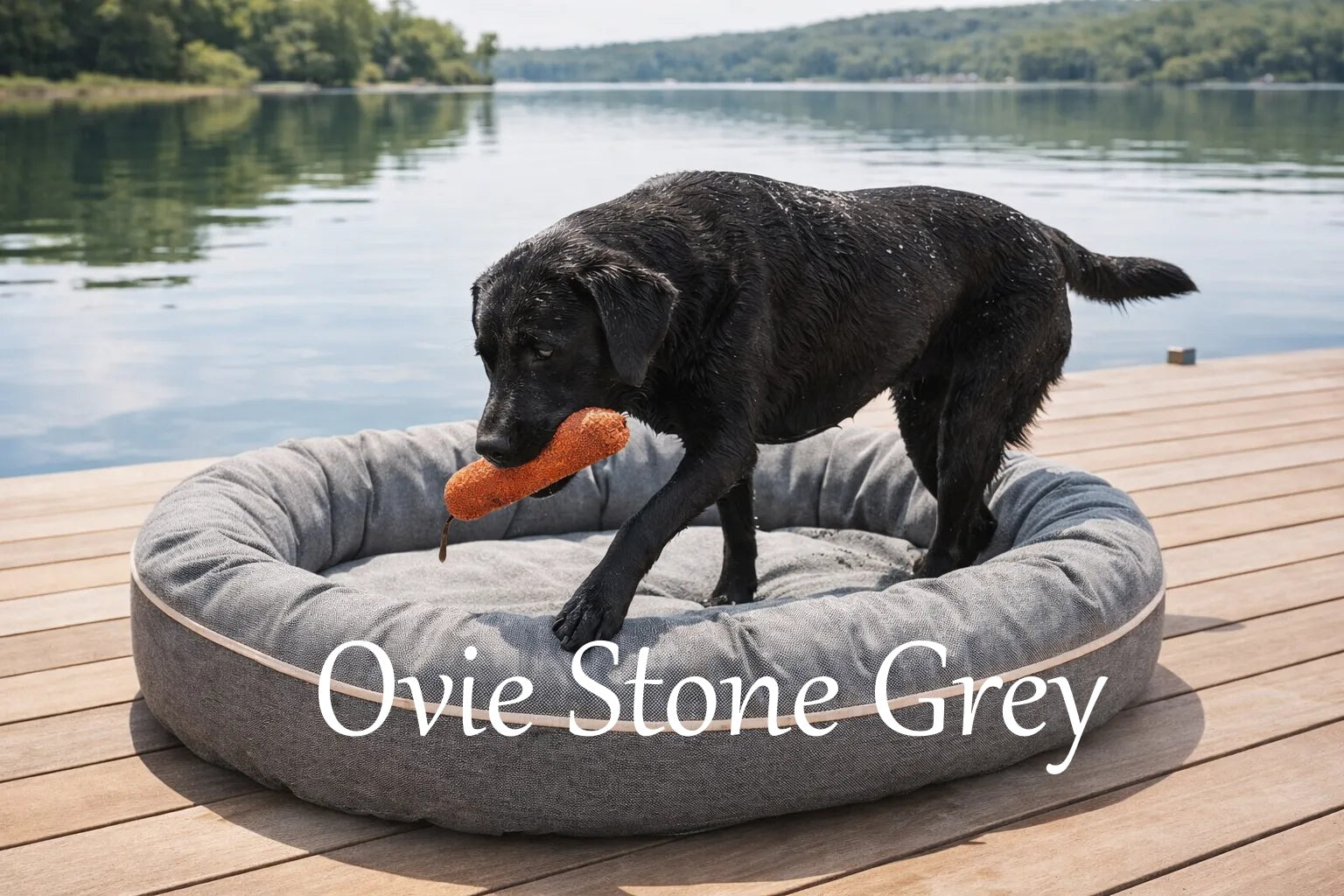 Ovie Durable and Stylish Patio Dog Bed