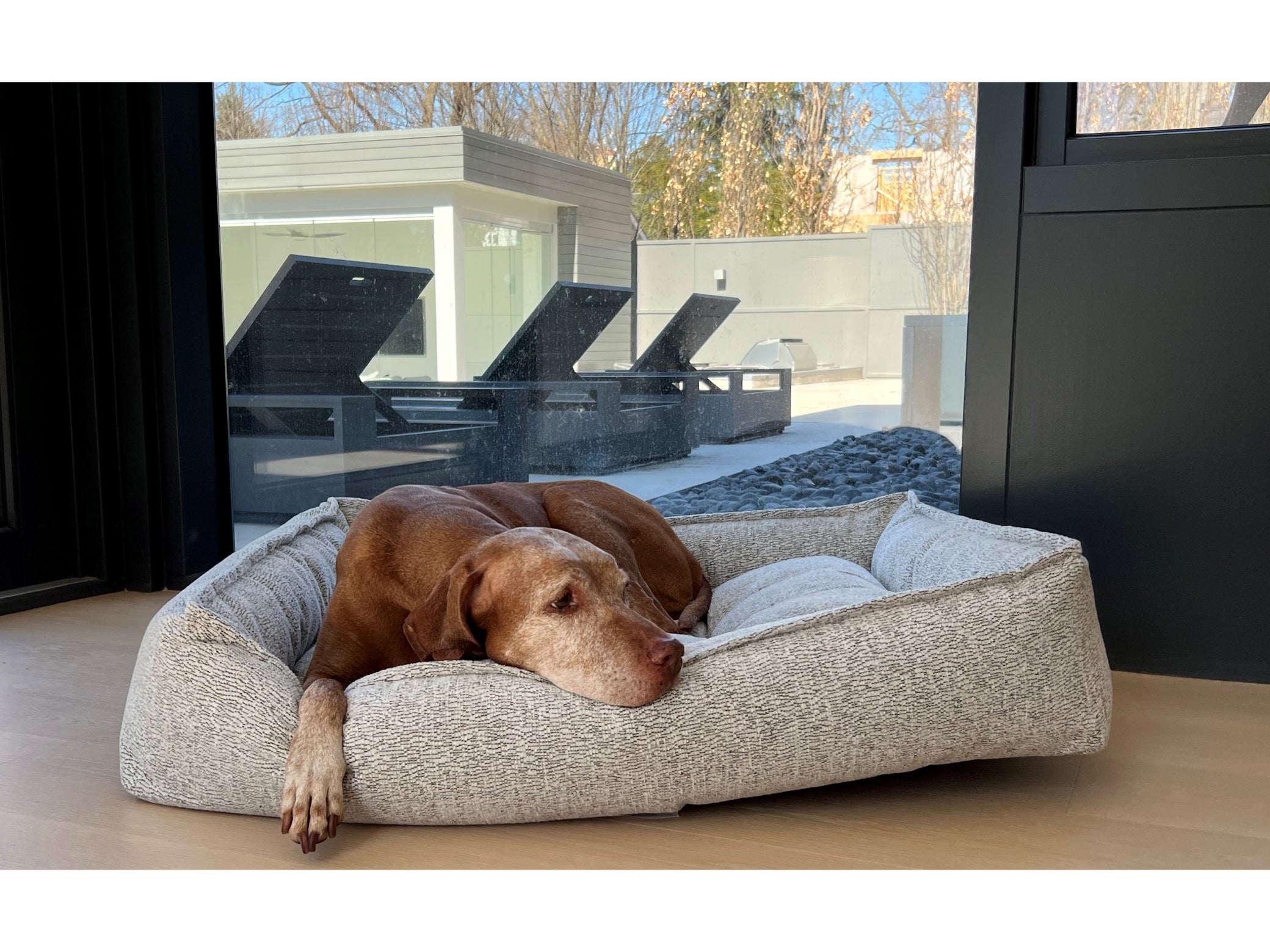 Sterling Lounge Bed