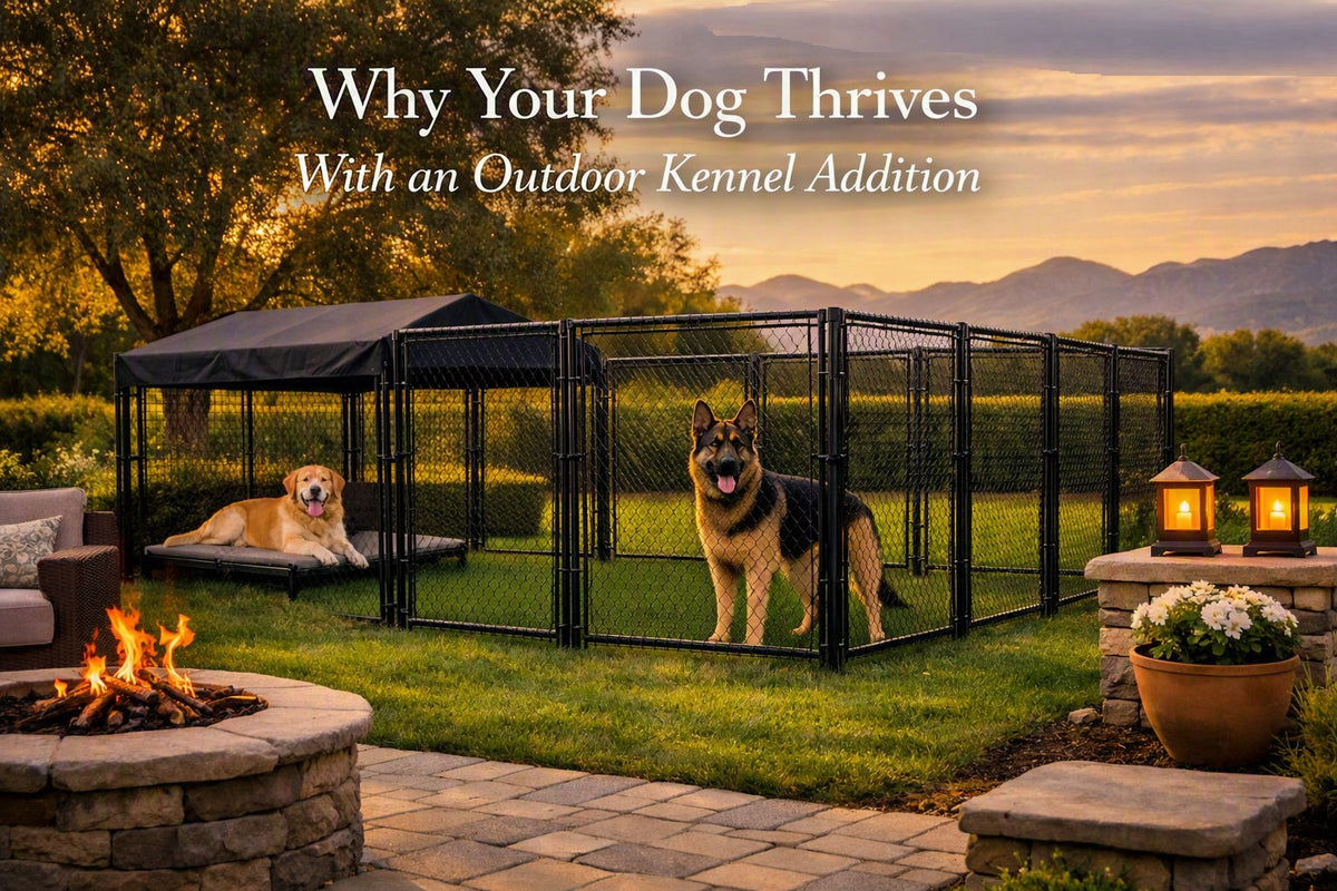 Why Your Dog Thrives With an Outdoor Kennel Addition: The Secure Space They Desire When Your Are Gone