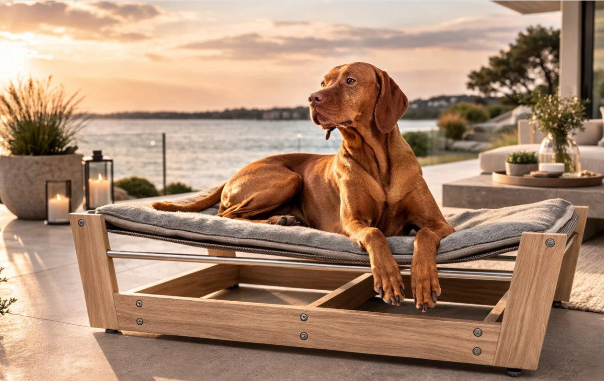 The Design Philosophy Behind Bowsers: Why Their Dog Beds Feel Different