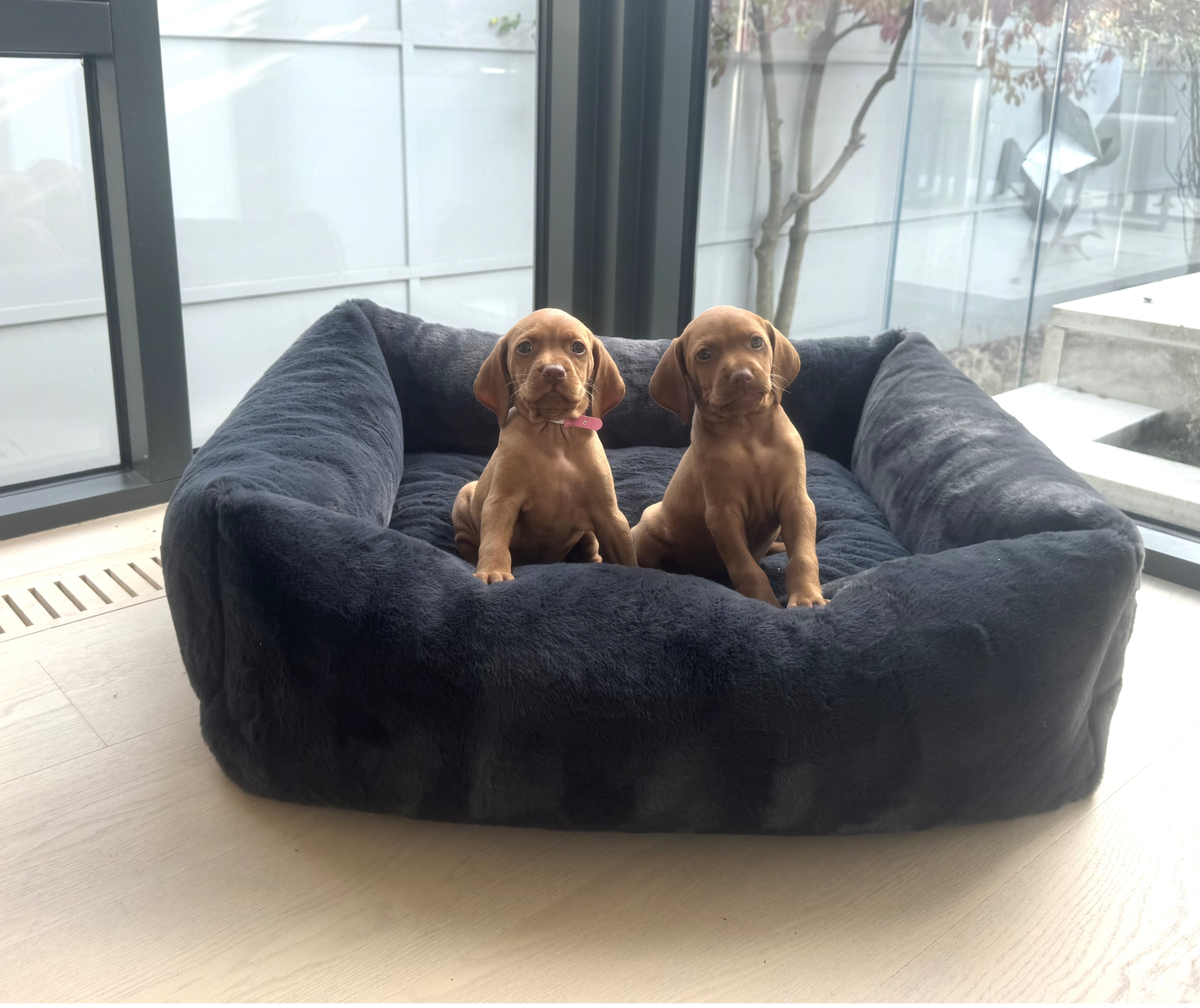 Bolster Beds