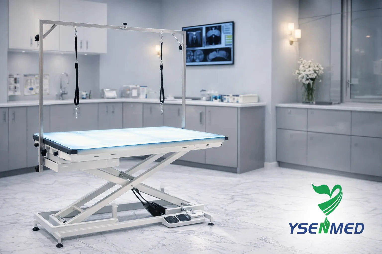 YSENMED | Medical‑Grade Veterinary & Grooming Equipment