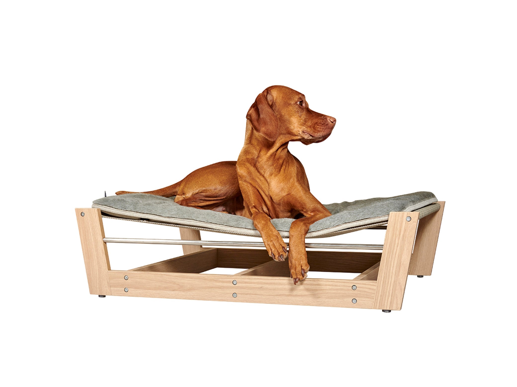 Modern Dog Bed