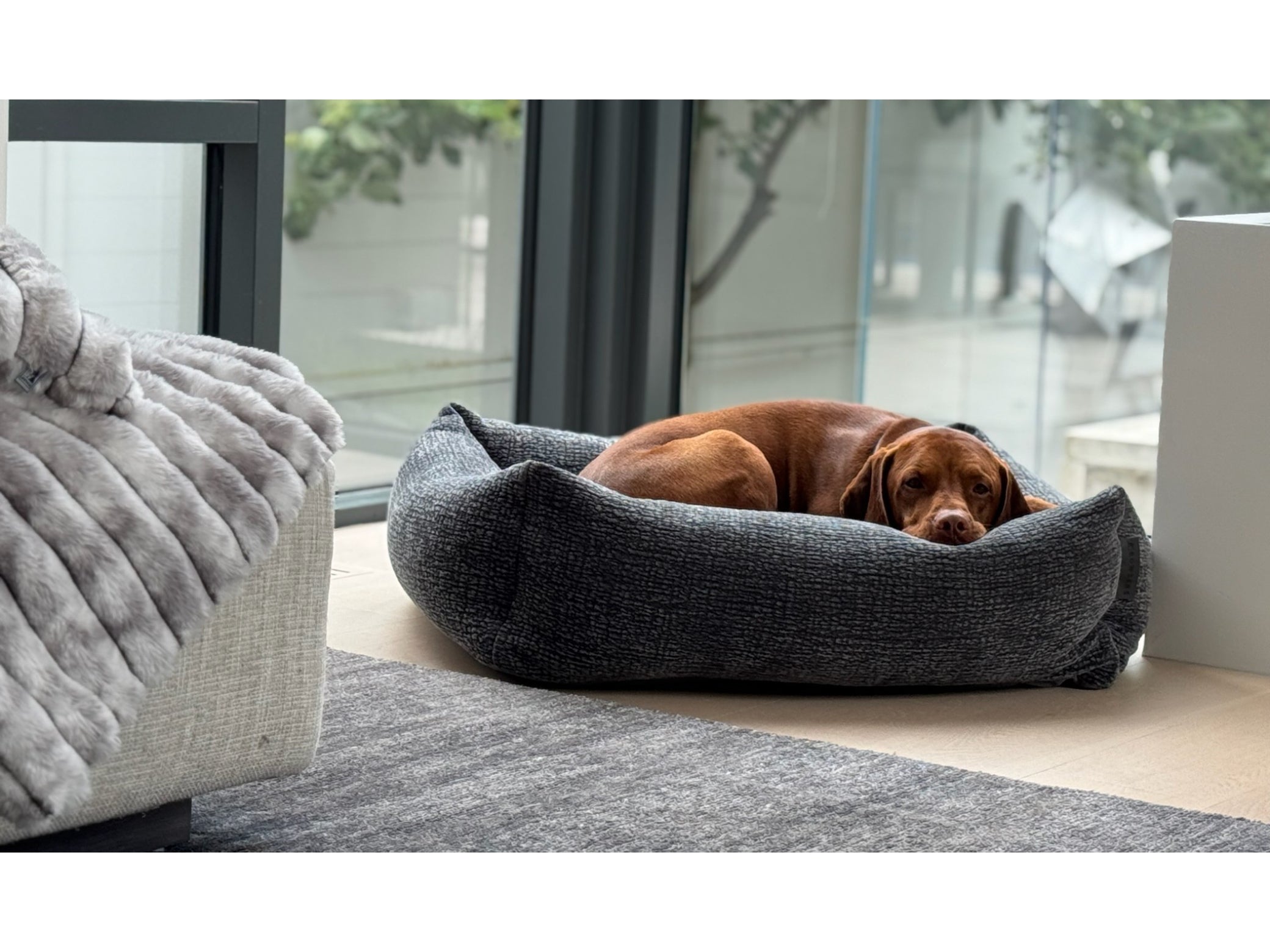 Franklin Luxury Dog Bed