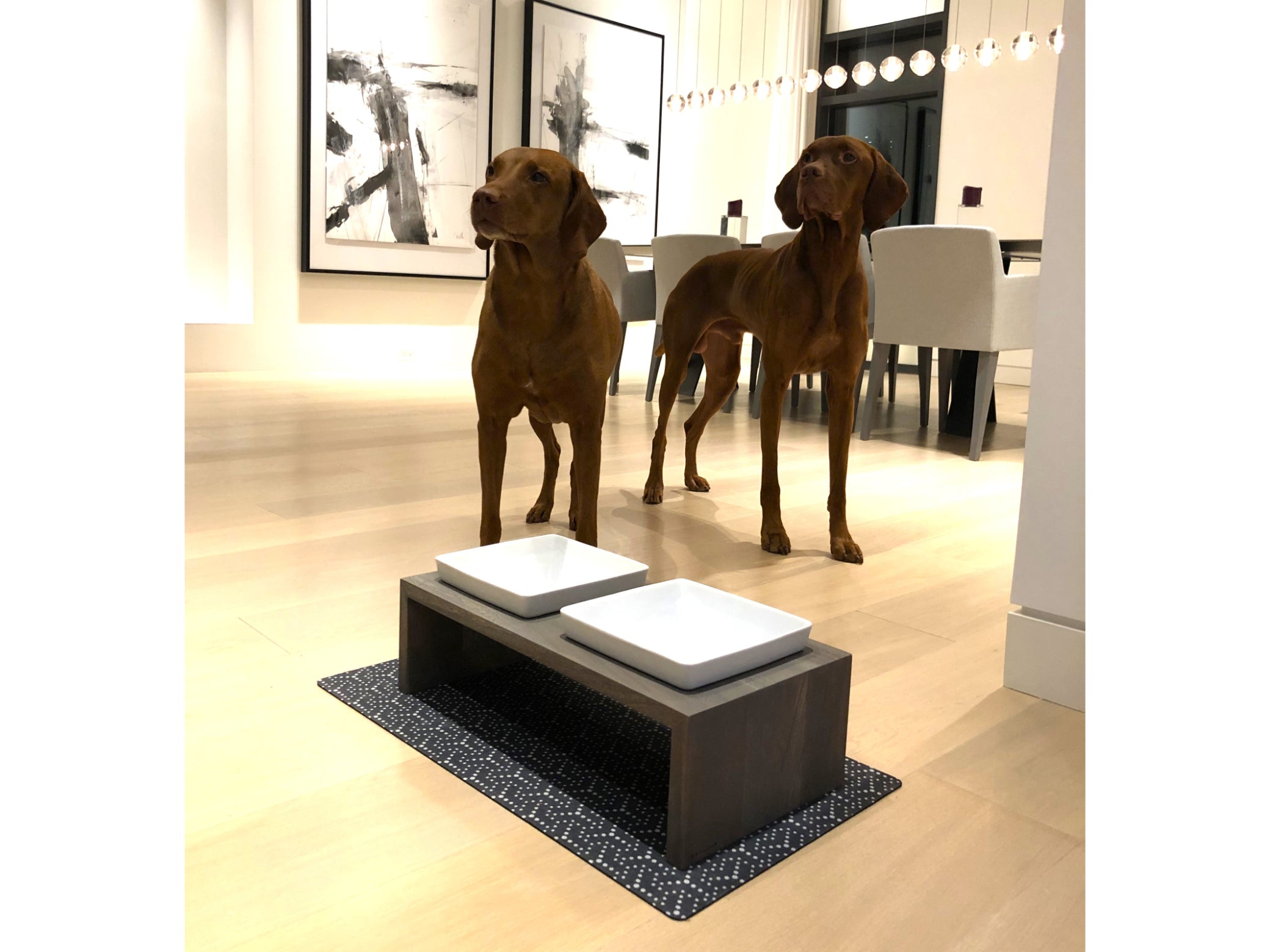 Artisan Feeder Double — Luxury Elevated Dog Bowl Furniture