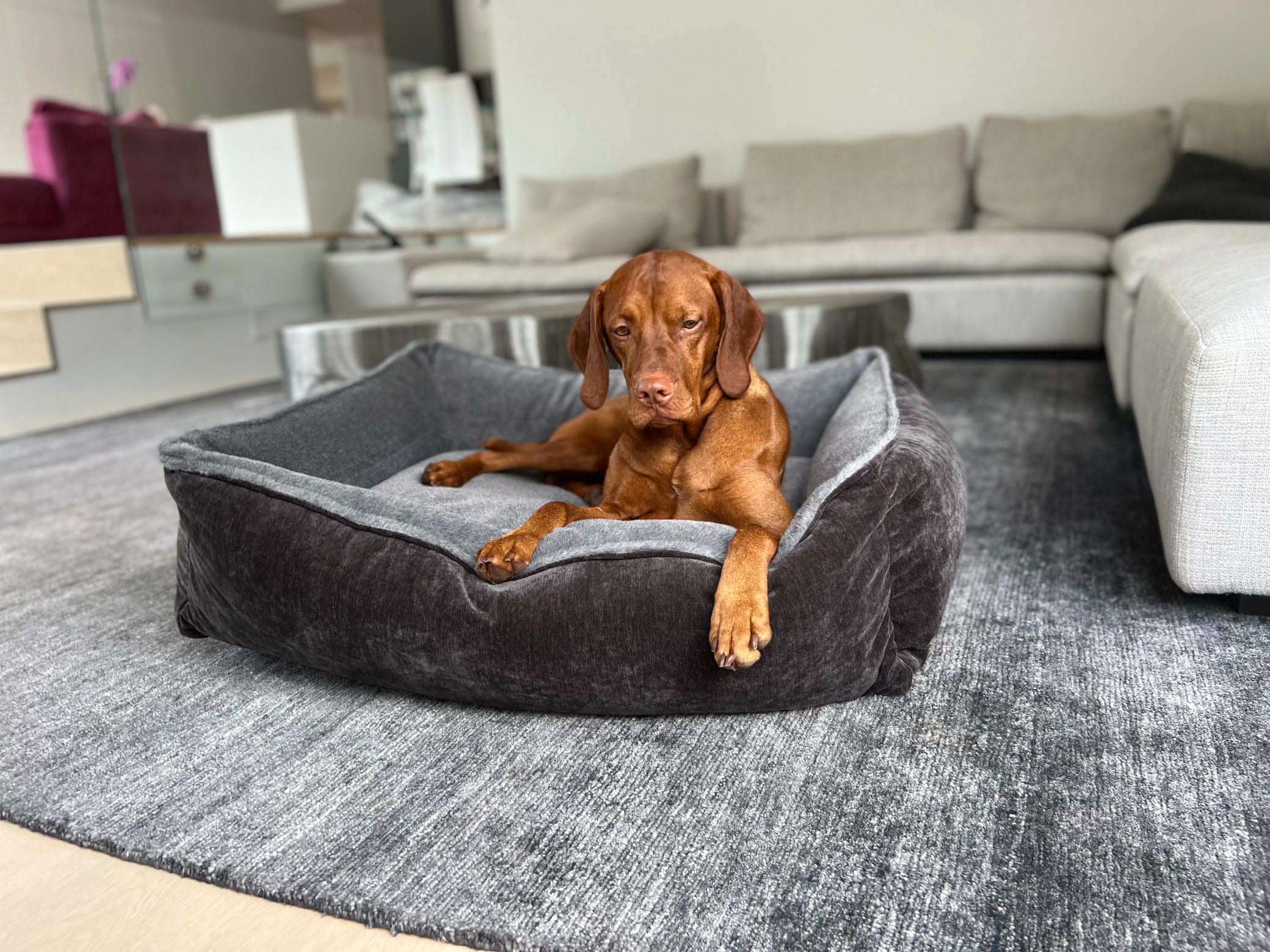 B‑Lounge – Modern Luxury Lounger