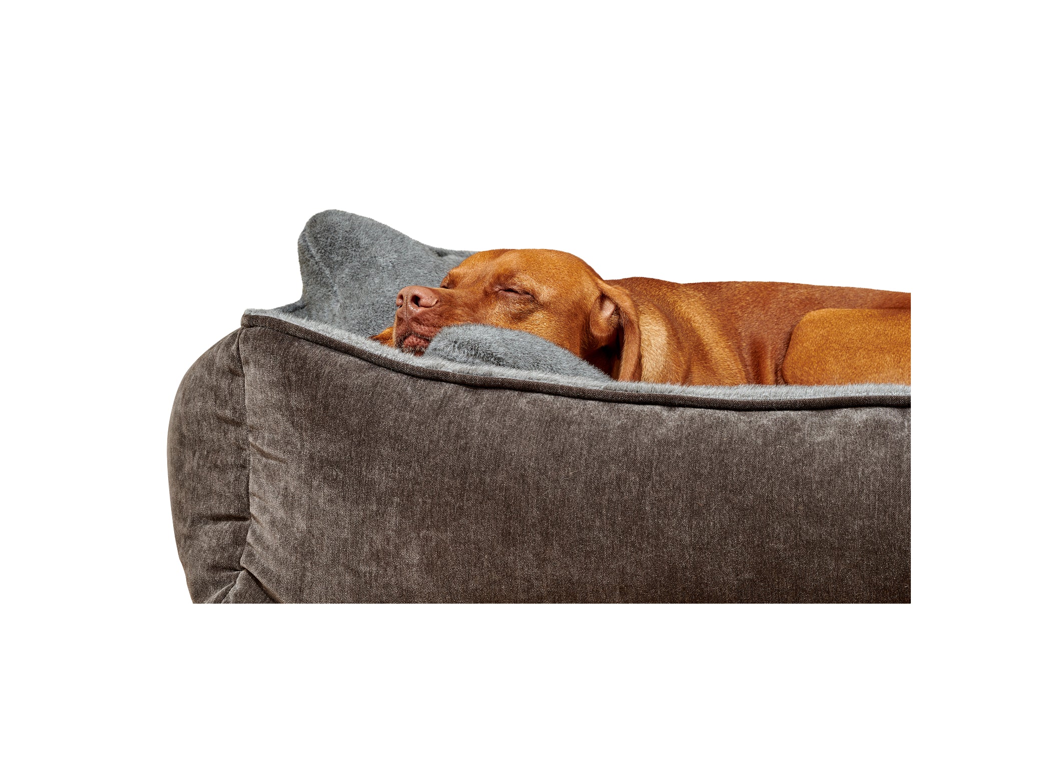 B‑Lounge – Modern Luxury Lounger