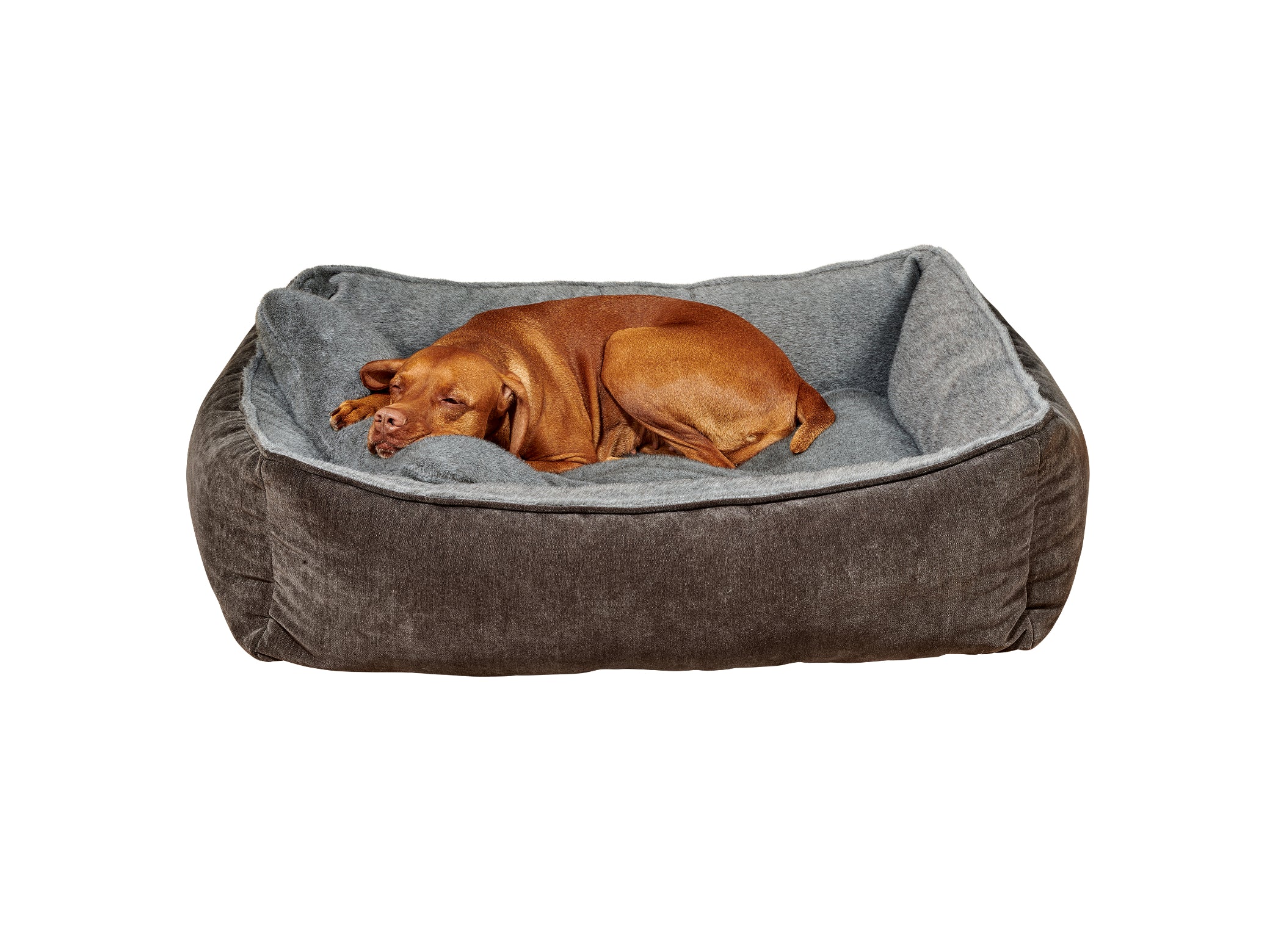 B‑Lounge – Modern Luxury Lounger