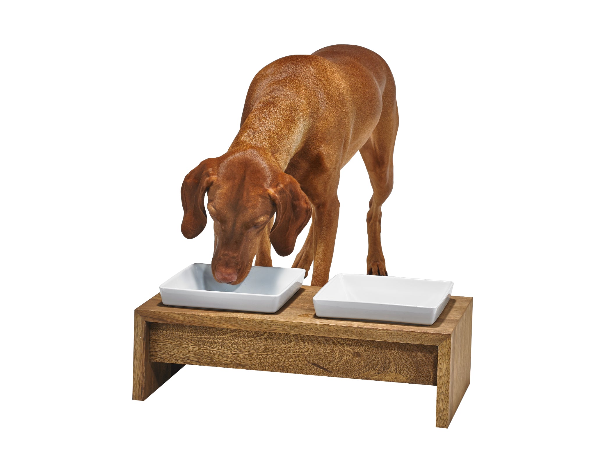 Artisan Feeder Double — Luxury Elevated Dog Bowl Furniture