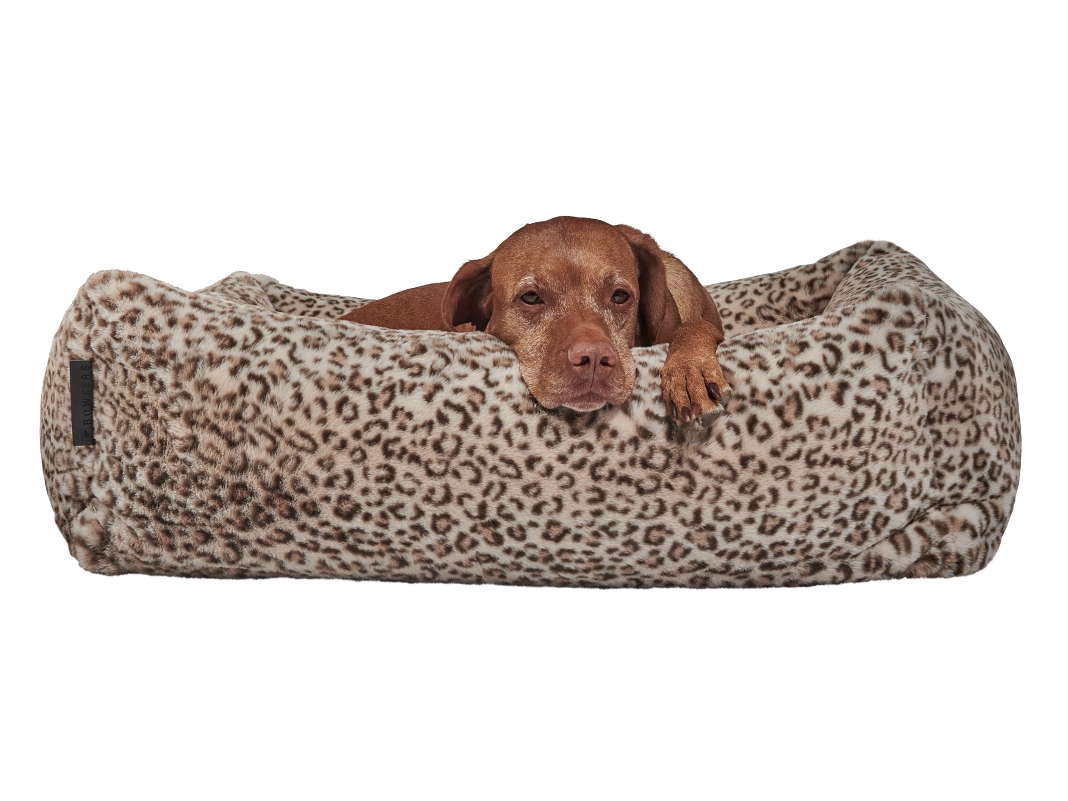 Franklin Luxury Dog Bed