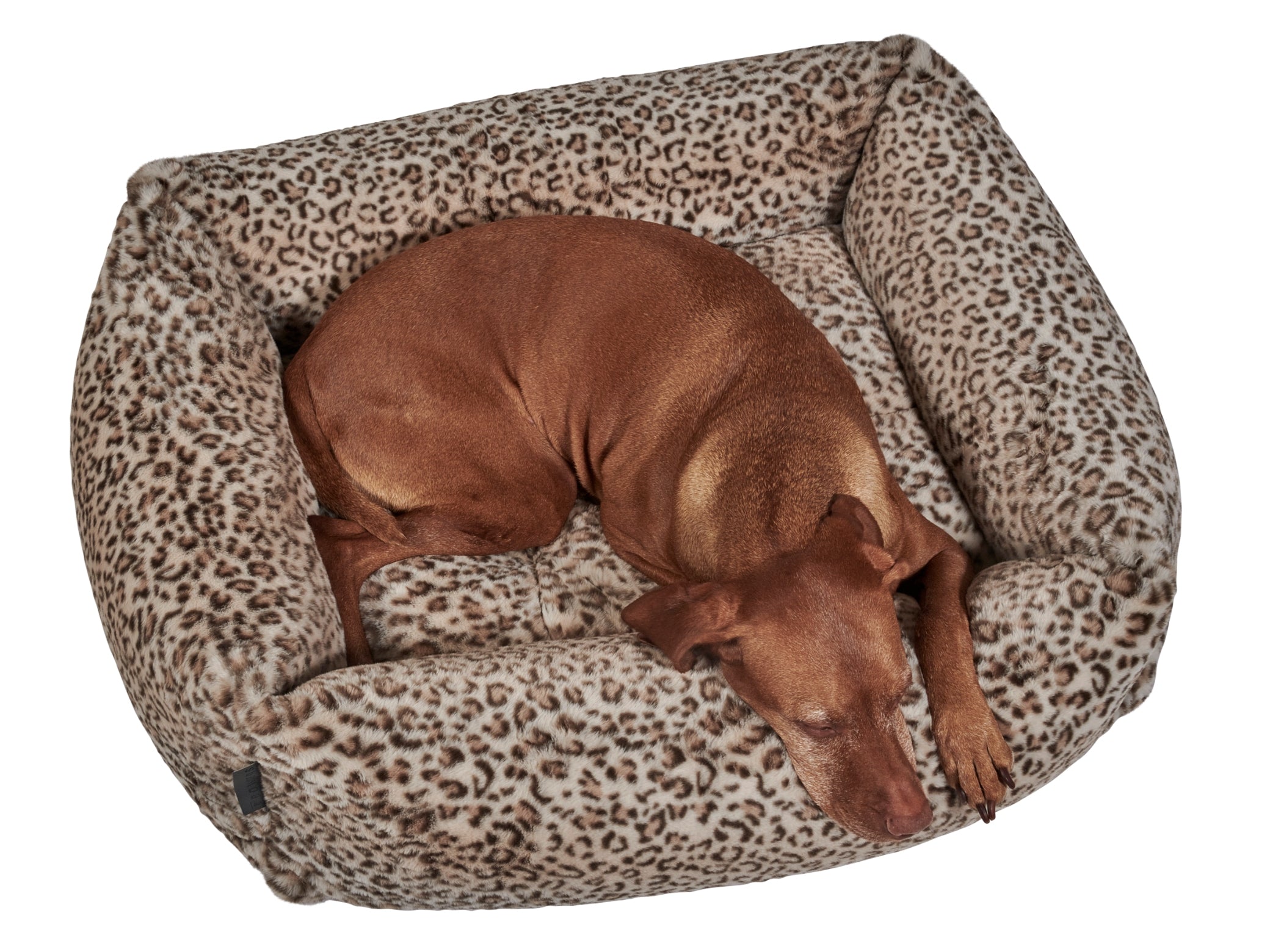 Franklin Luxury Dog Bed