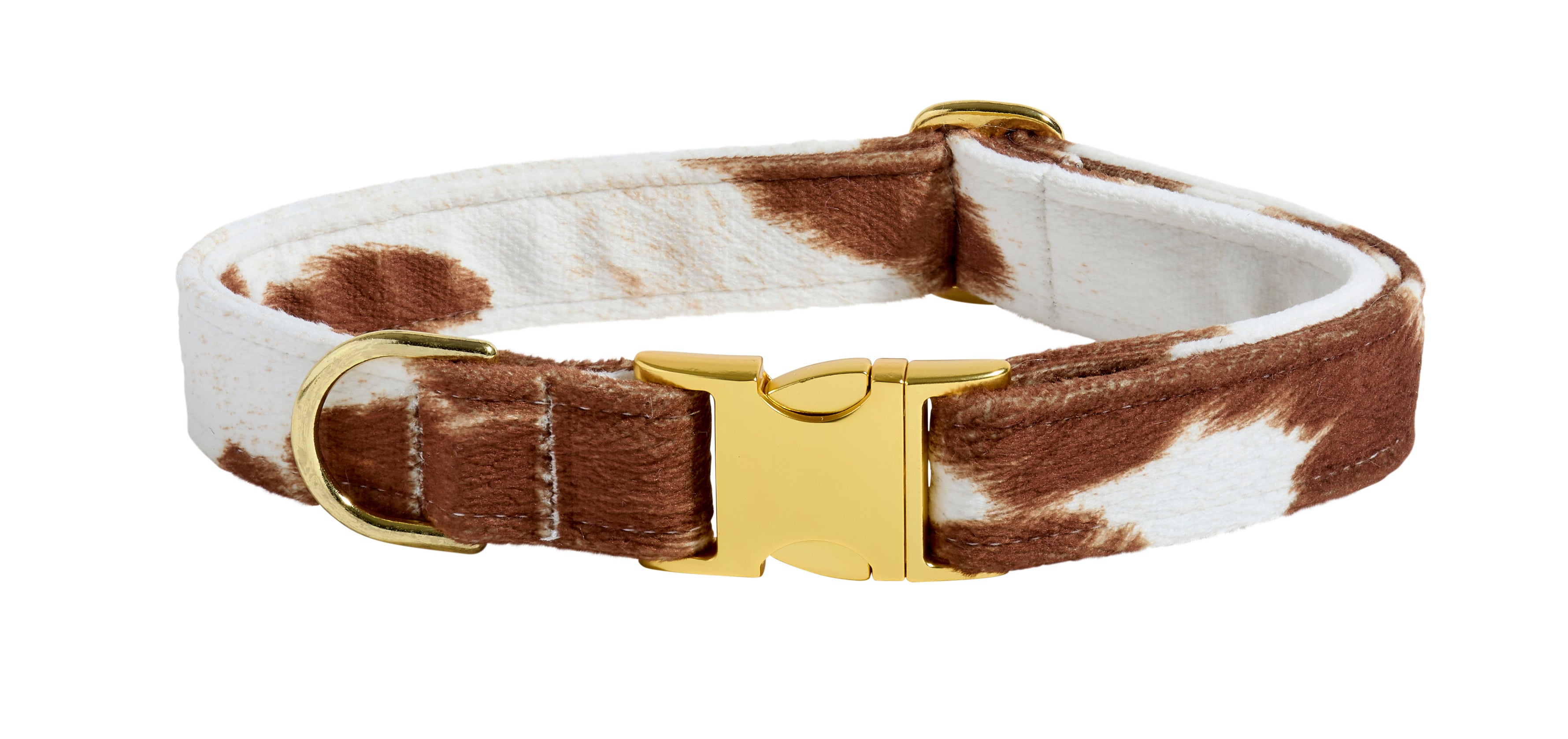 Designer Buckle Dog Collar in Matching Bowsers Fabrics