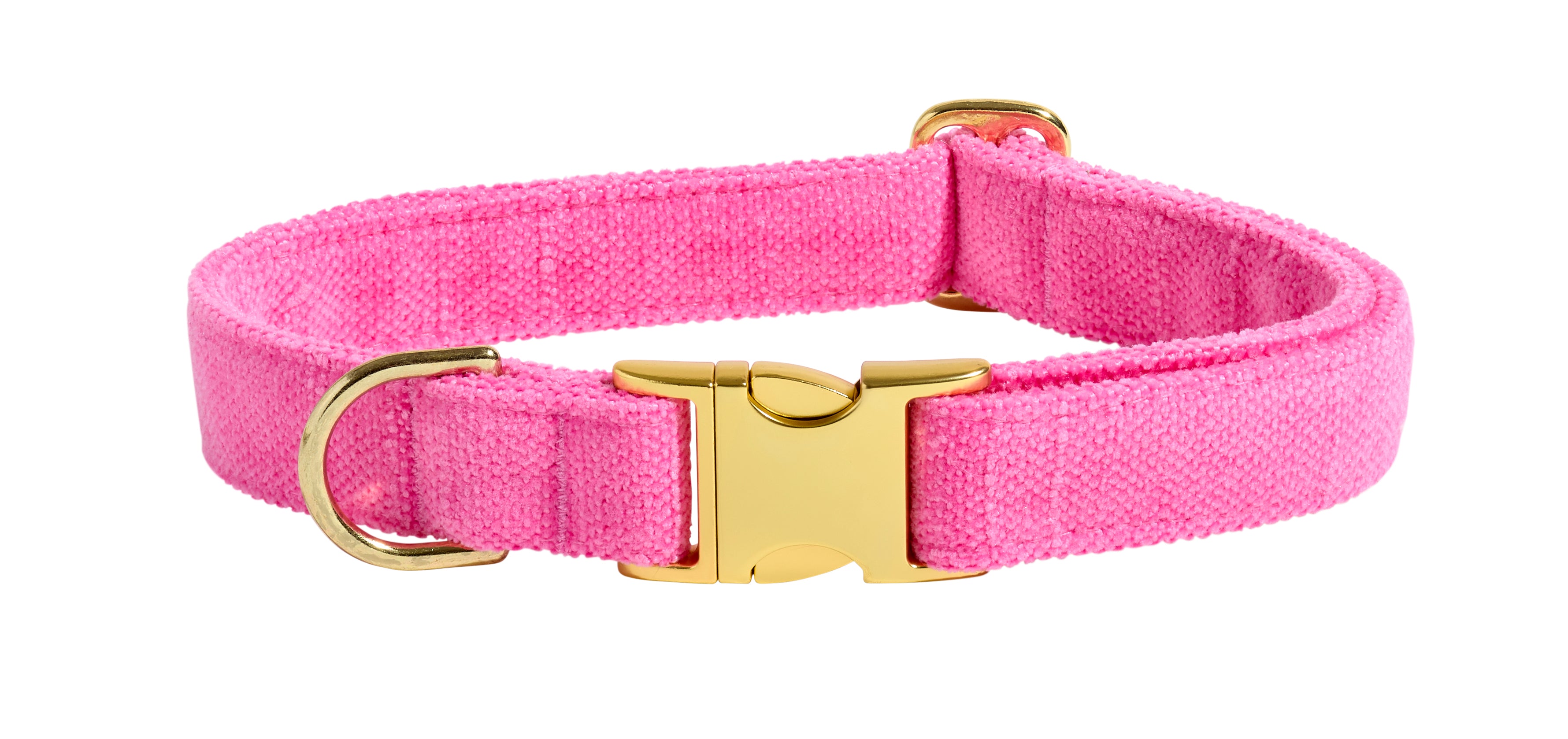 Designer Buckle Dog Collar in Matching Bowsers Fabrics