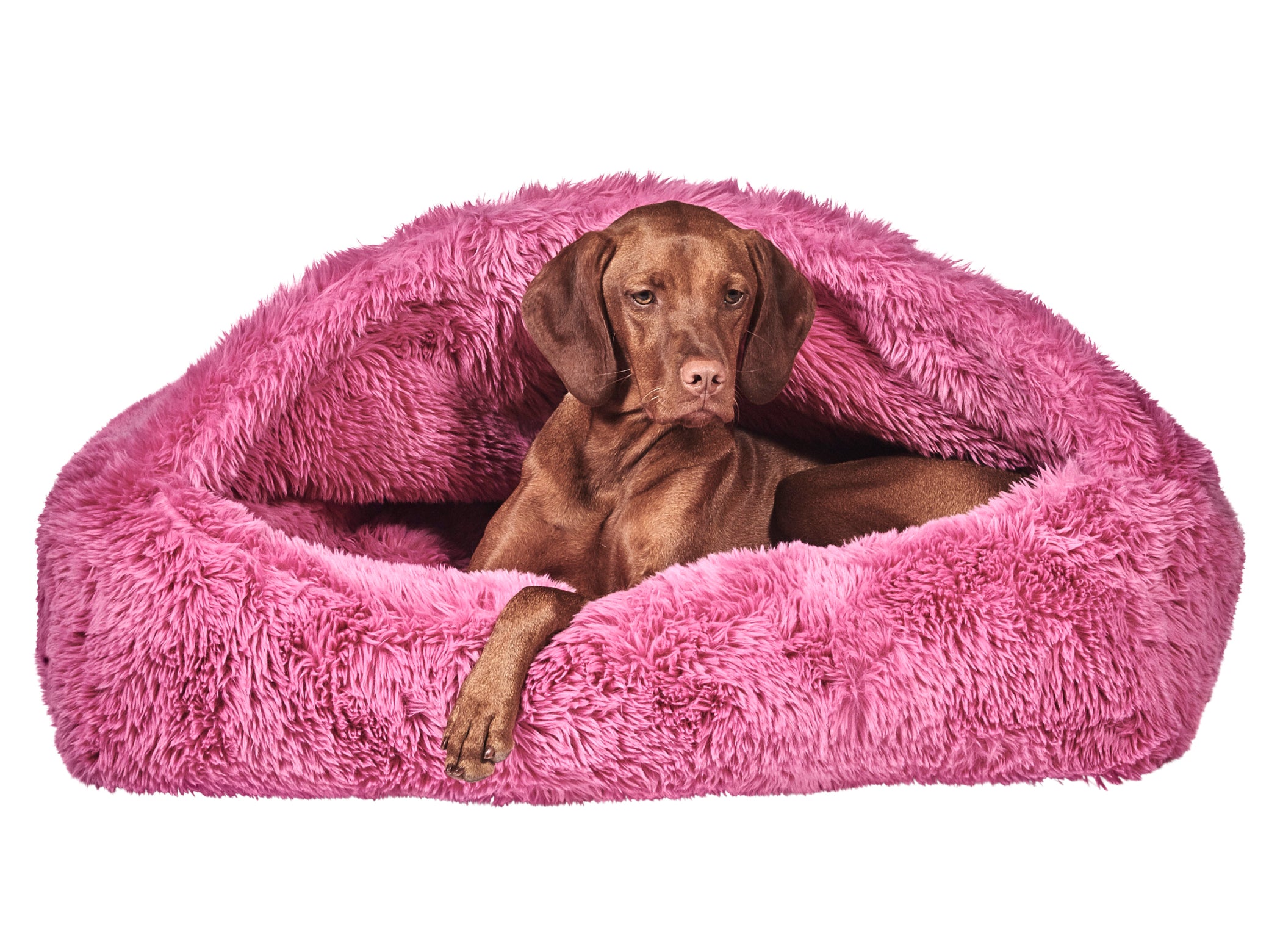 Canopy™ Bed – A Secure Retreat for Dogs Who Crave Comfort and Calm
