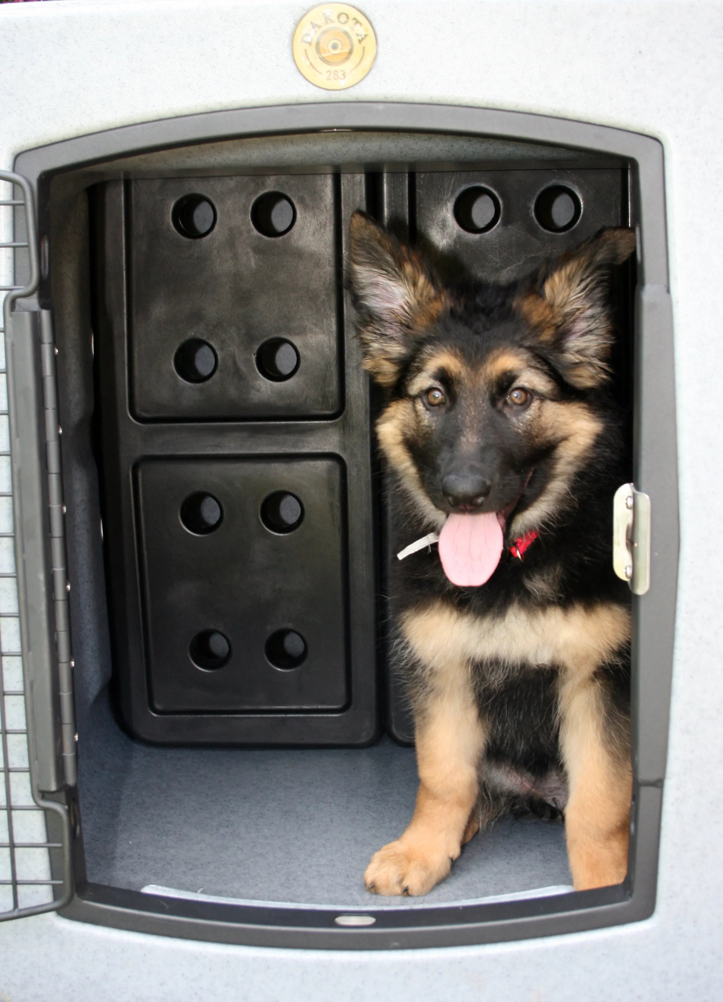 Grow‑With‑Me Puppy Divider for G3 Kennels with  Dakota Guard Antimicrobial