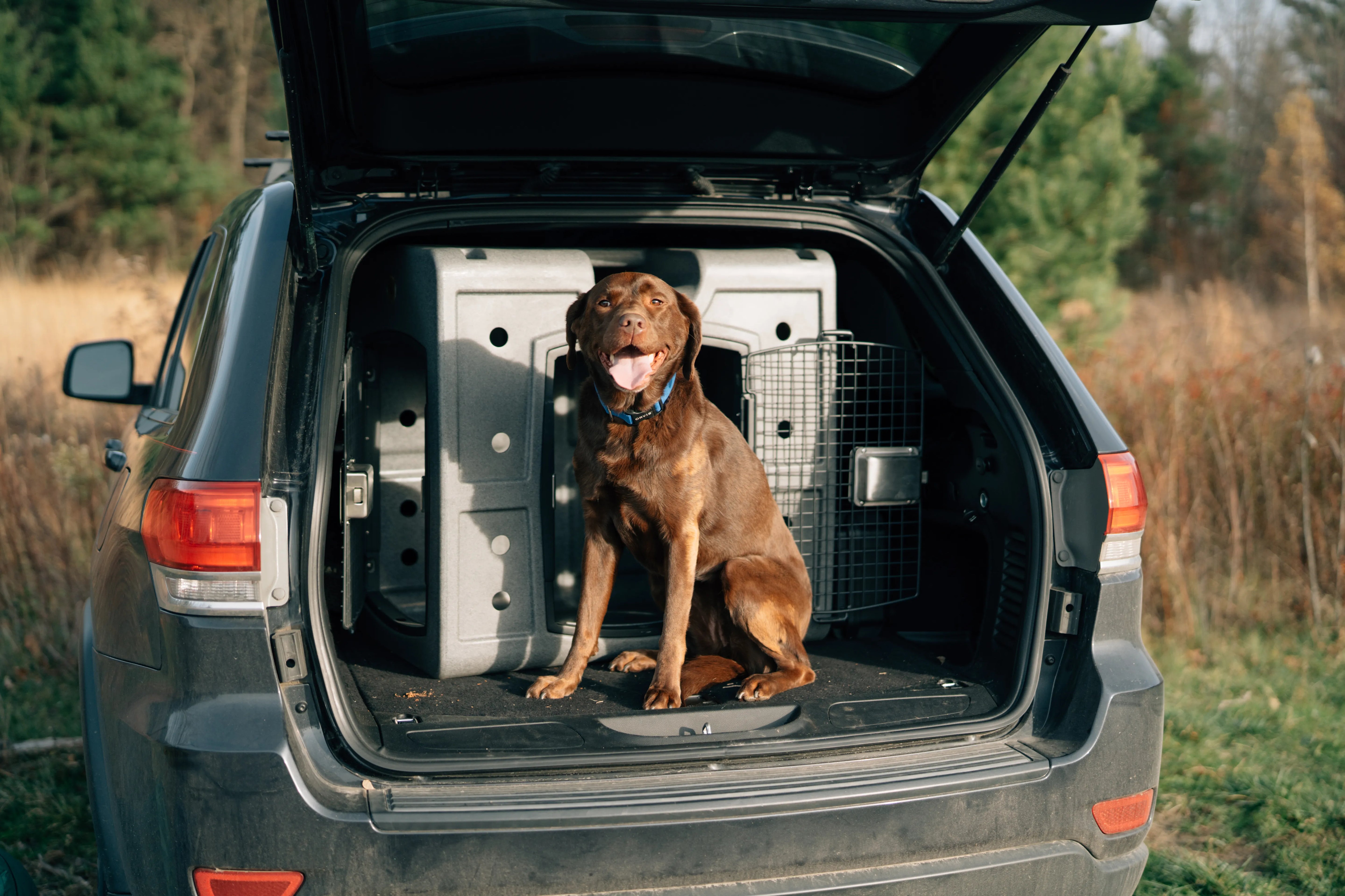 2D Side & Front Entry Dog Kennel | Space-Saving SUV Travel Crate