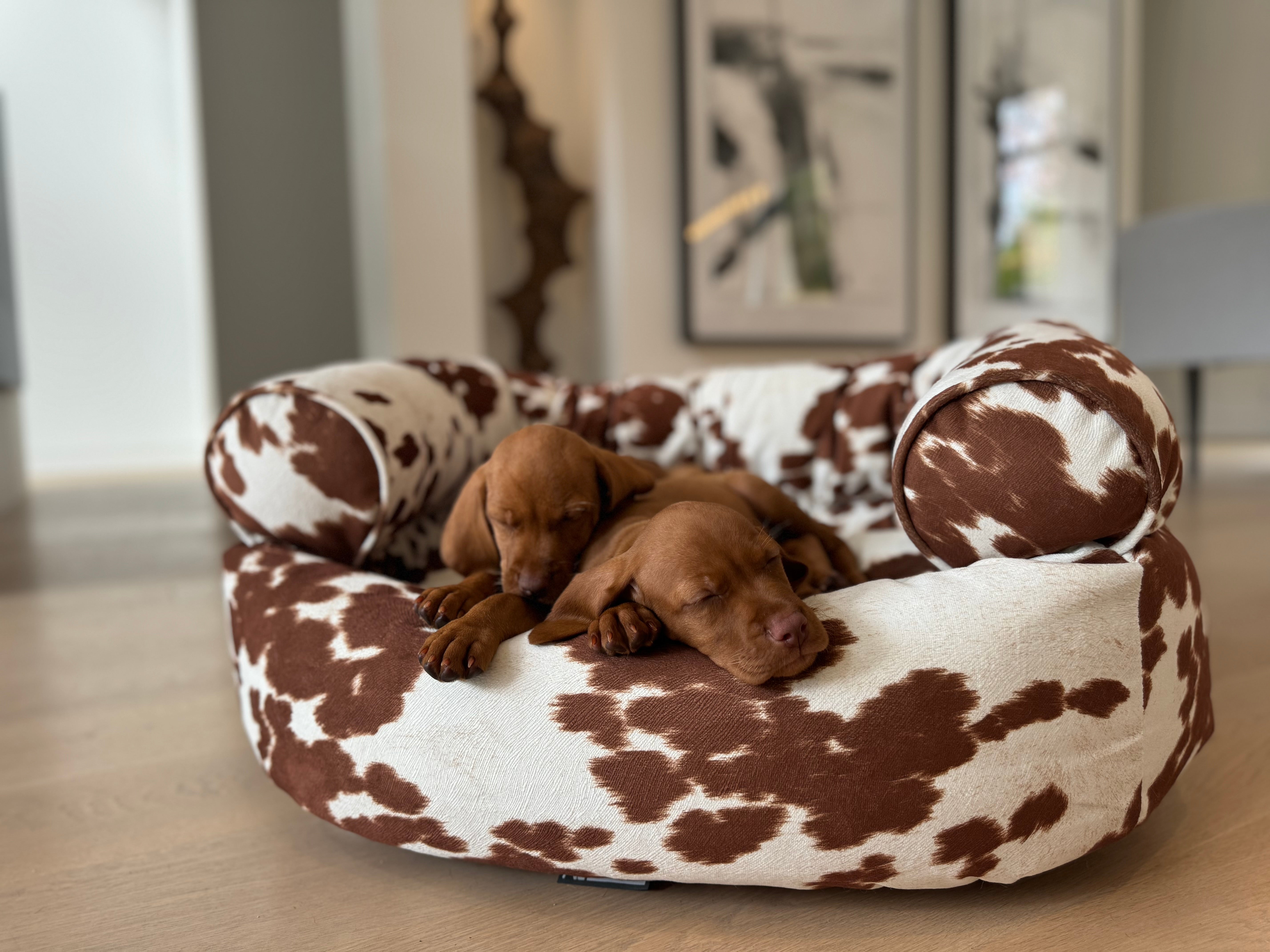 Double Donut Bed — Luxury Bolstered Dog Sofa for Elevated Comfort