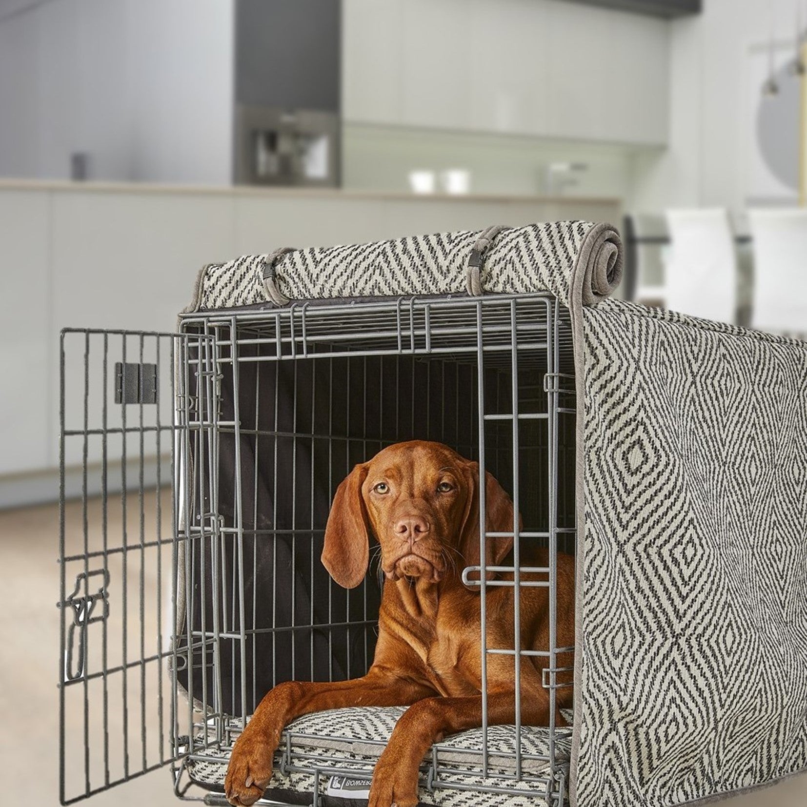Designer Wire Crate Cover with Luxury Orthopedic Mattress Combo