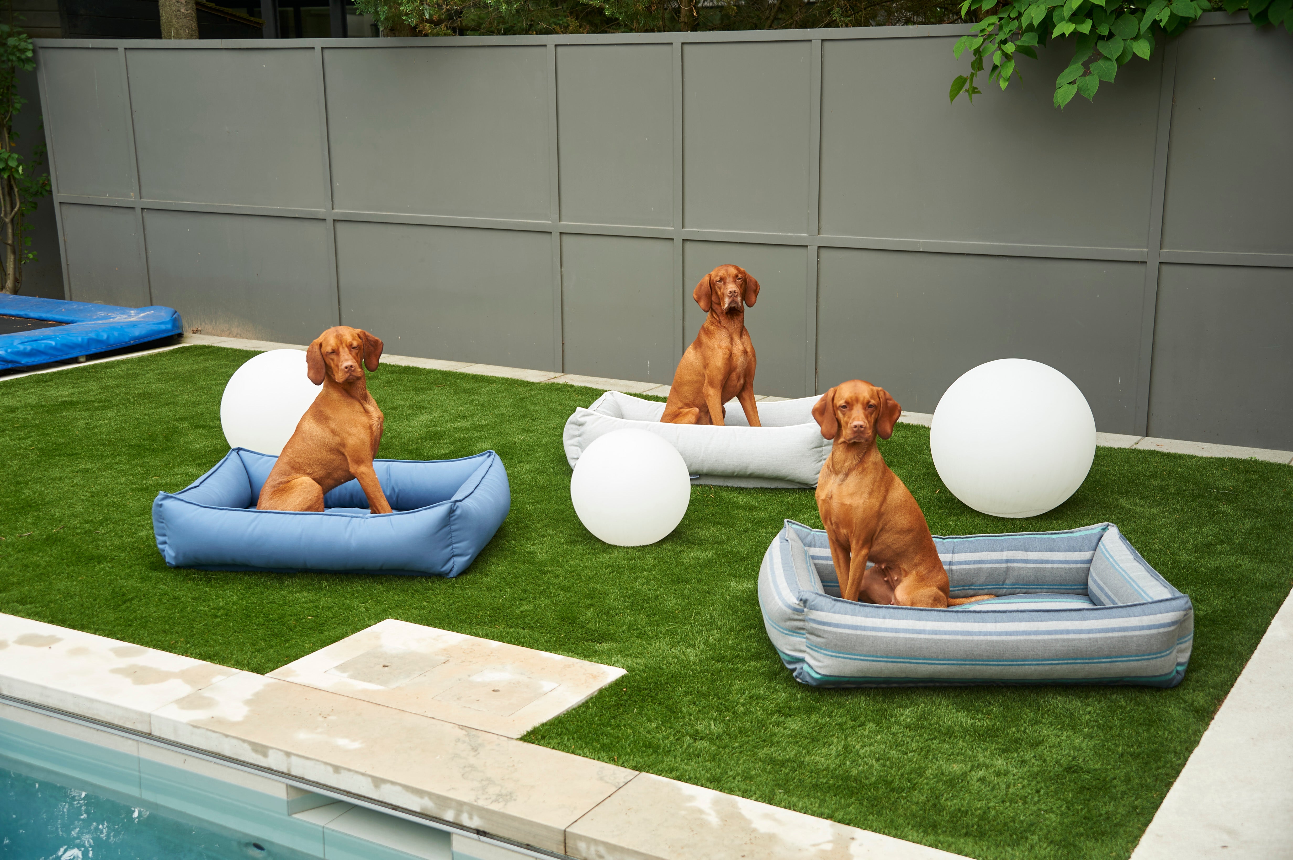 Urban Lounger Dog Bed — Outdoor Collection