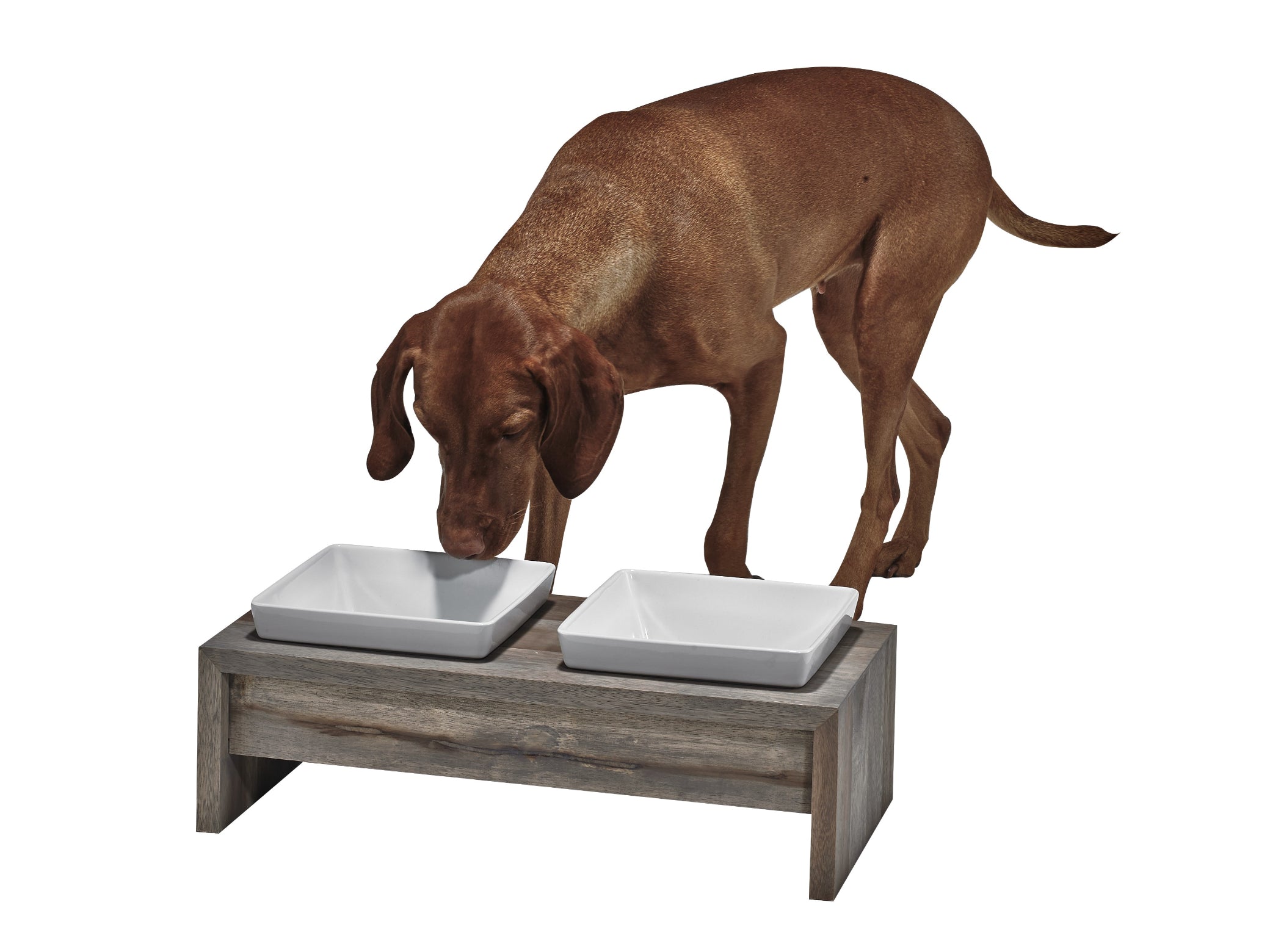 Artisan Feeder Double — Luxury Elevated Dog Bowl Furniture