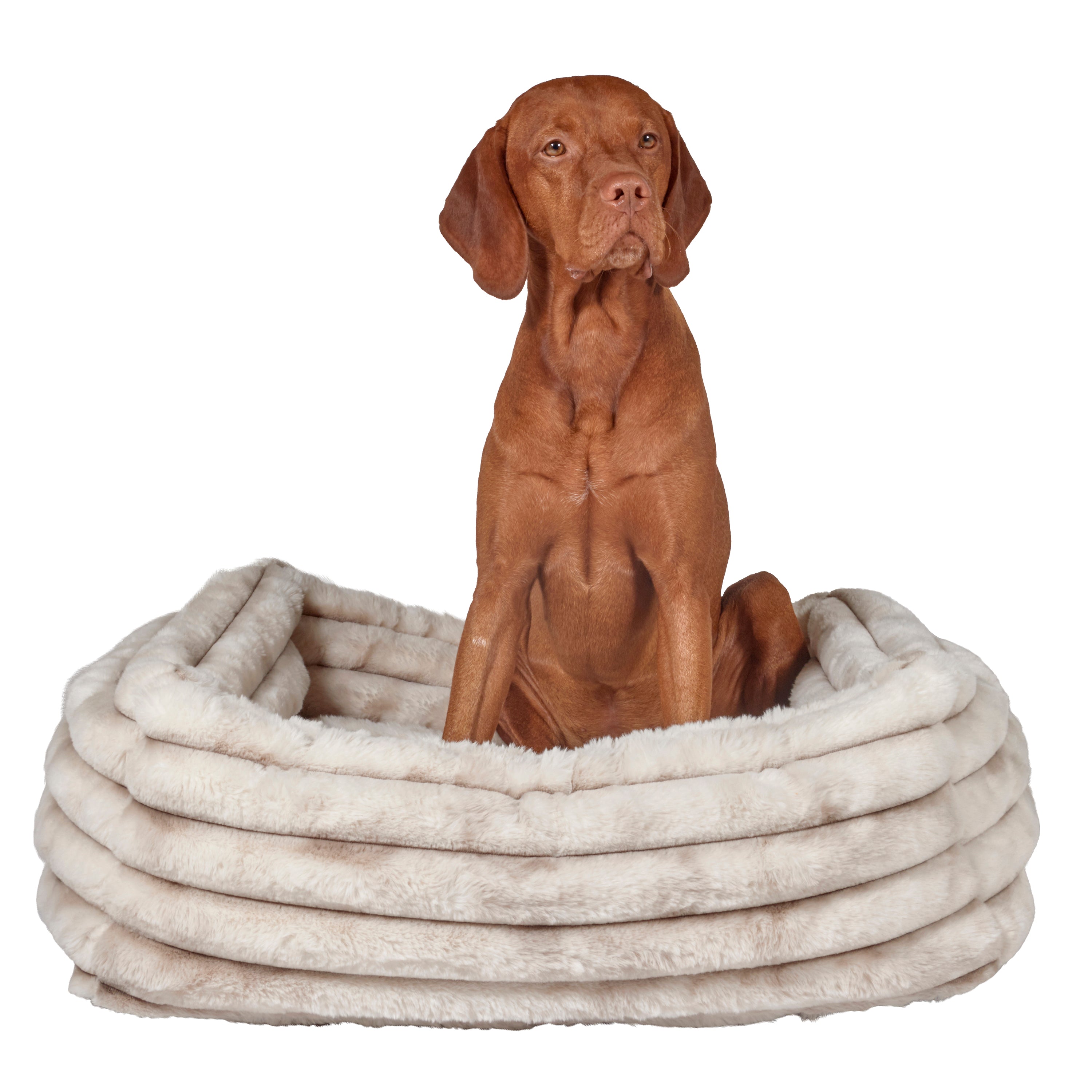 The Himalayan Franklin Luxury Bed Set