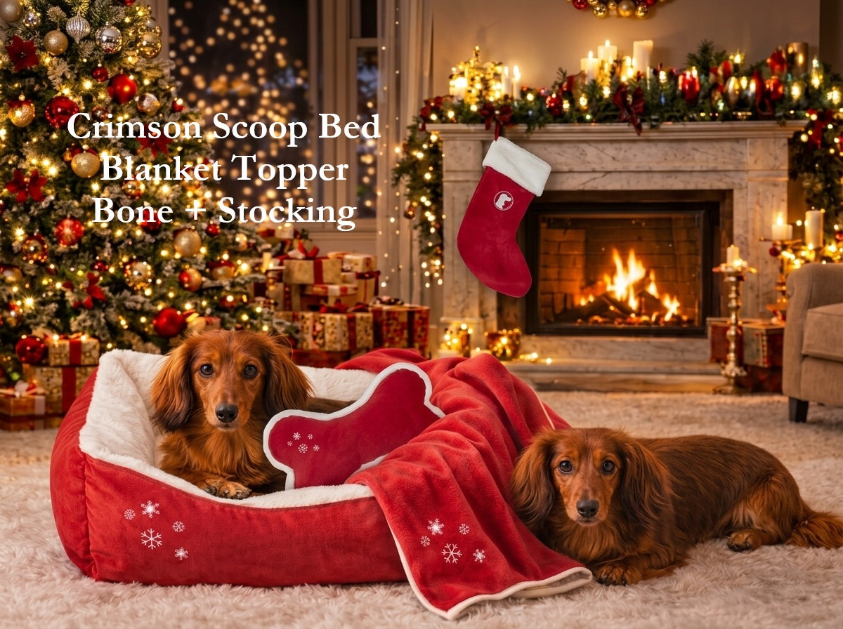 A Christmas-themed living room scene with two long-haired dachshunds lying on a red plush blanket spread across a red scoop-shaped dog bed with white trim. A fireplace, decorated Christmas tree, stockings, and wrapped gifts are visible in the background.