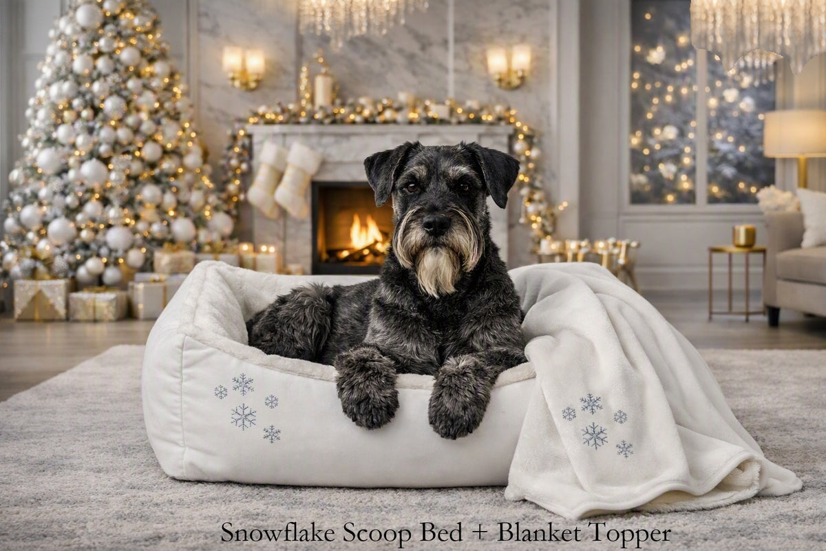 A black and white schnauzer dog sits in a white plush snowflake scoop bed with a matching throw blanket draped over the side, set in a cozy, decorated holiday living room with a fireplace, Christmas tree, and warm lights.
