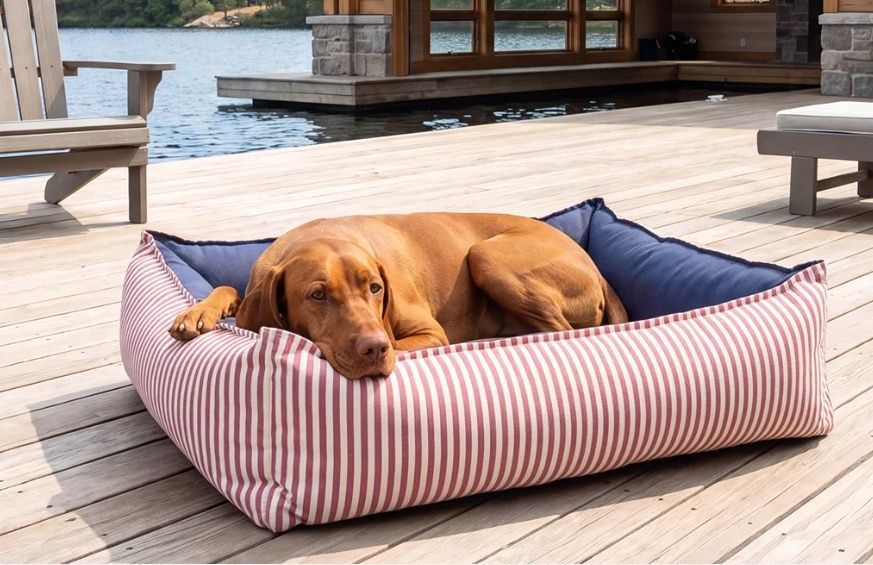 A brown dog rests inside a rectangular outdoor dog bed on a wooden deck, with water and a house visible in the background. The dog bed has pink and white vertical stripes on the outer sides and a dark blue interior.