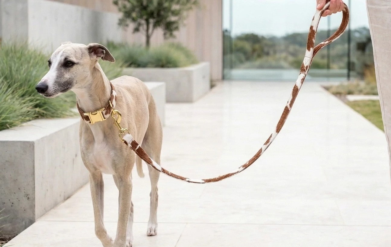 Designer Dog Leash in Premium Bowsers Fabrics
