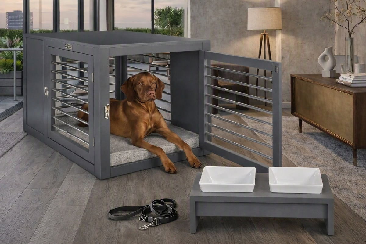 A brown dog lies inside a large gray pet crate with an open door, placed in a modern living room. In front of the crate is a matching gray elevated feeder with two white bowls, and a black leash lies on the floor nearby.