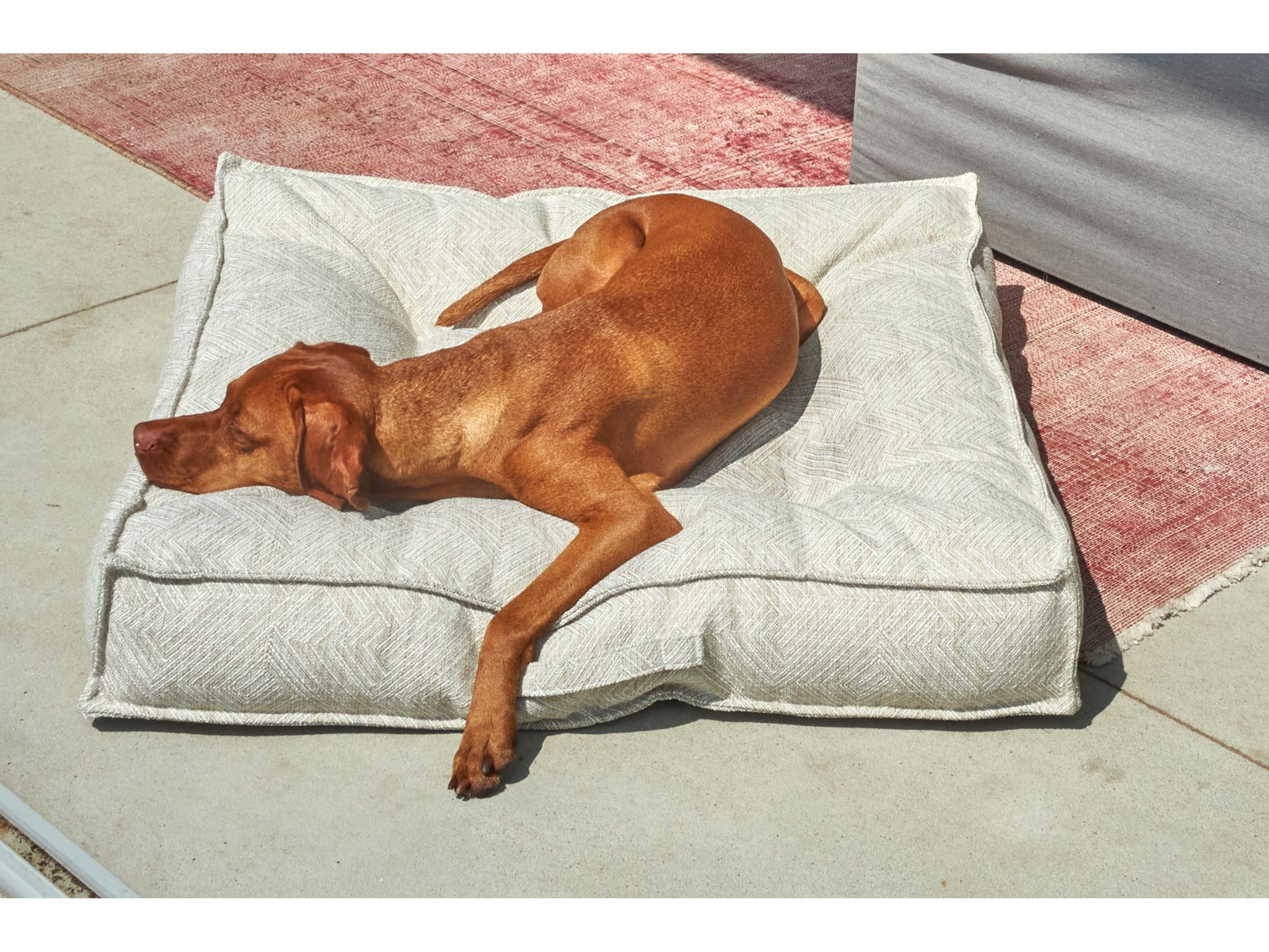 Piazza Dog Bed Modern Architectural Design for Modern Aesthetic Vibe