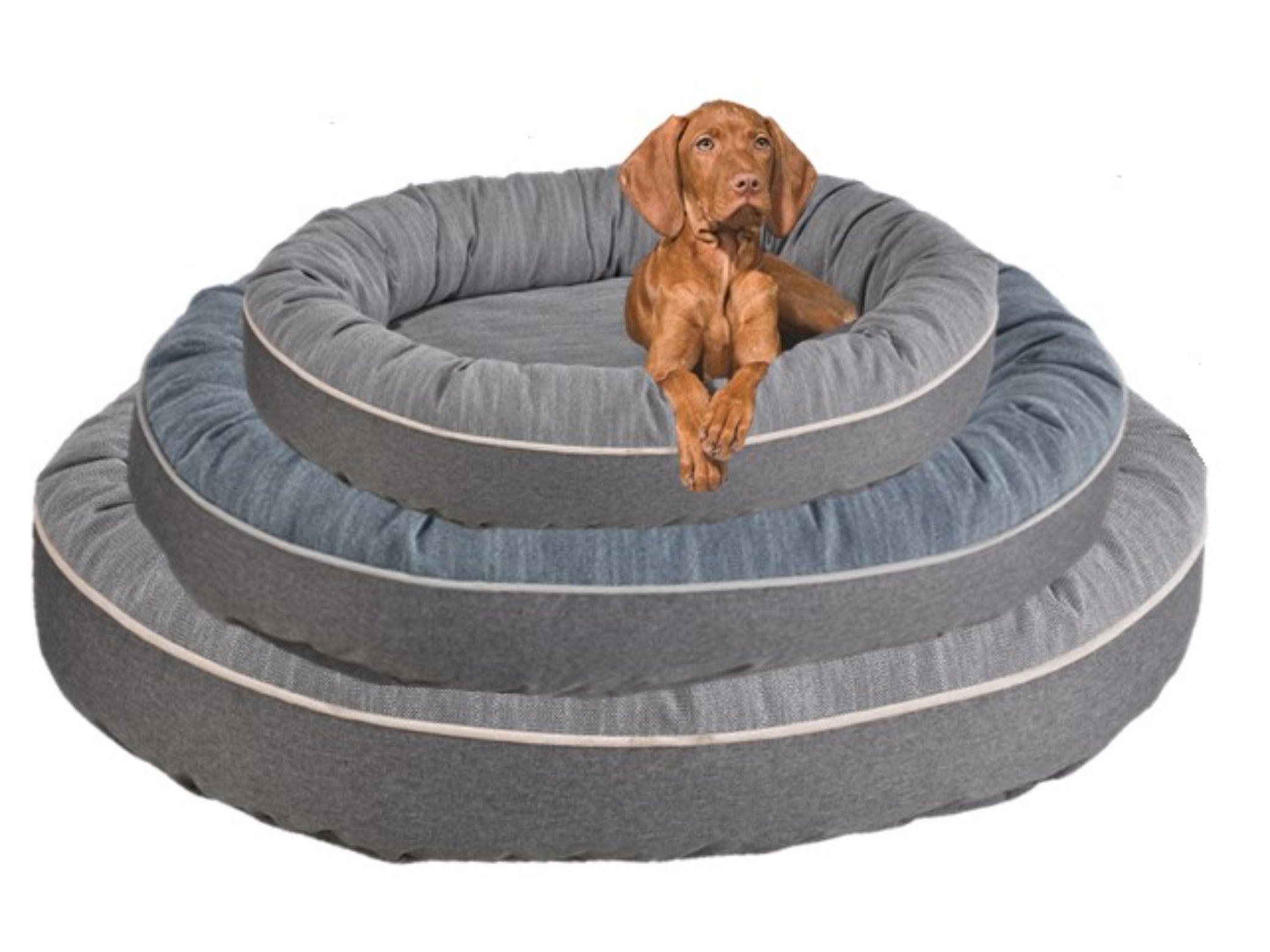Ovie Durable and Stylish Patio Dog Bed