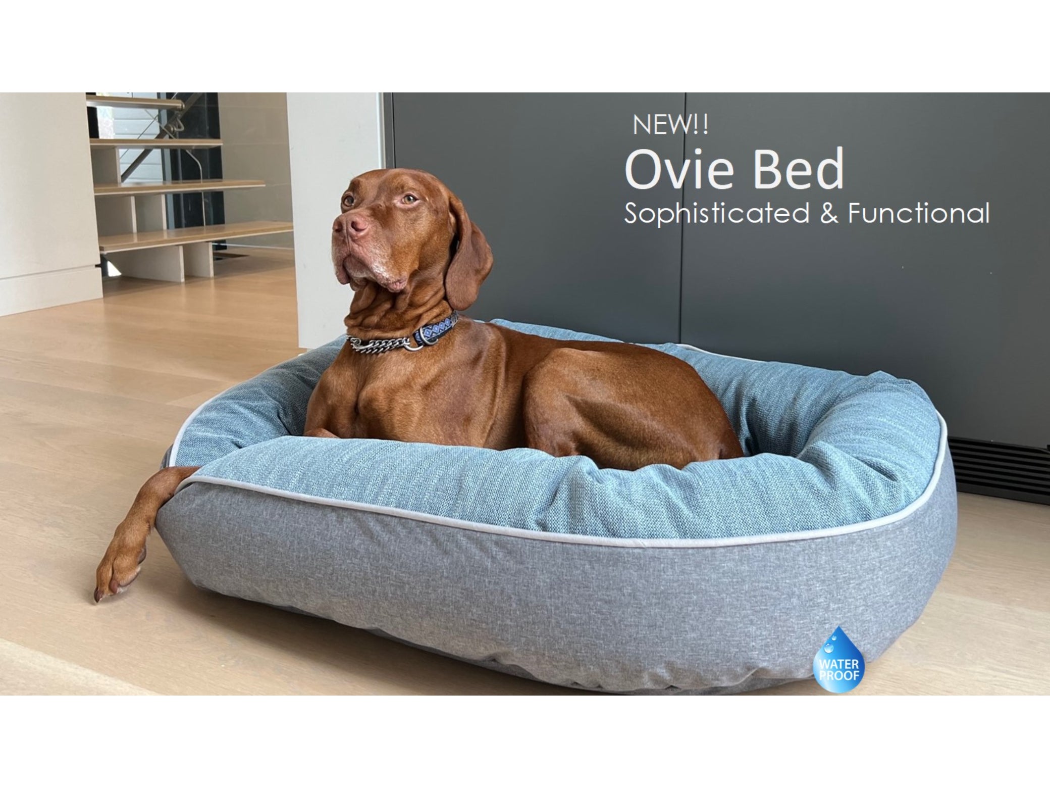 Ovie Durable and Stylish Patio Dog Bed