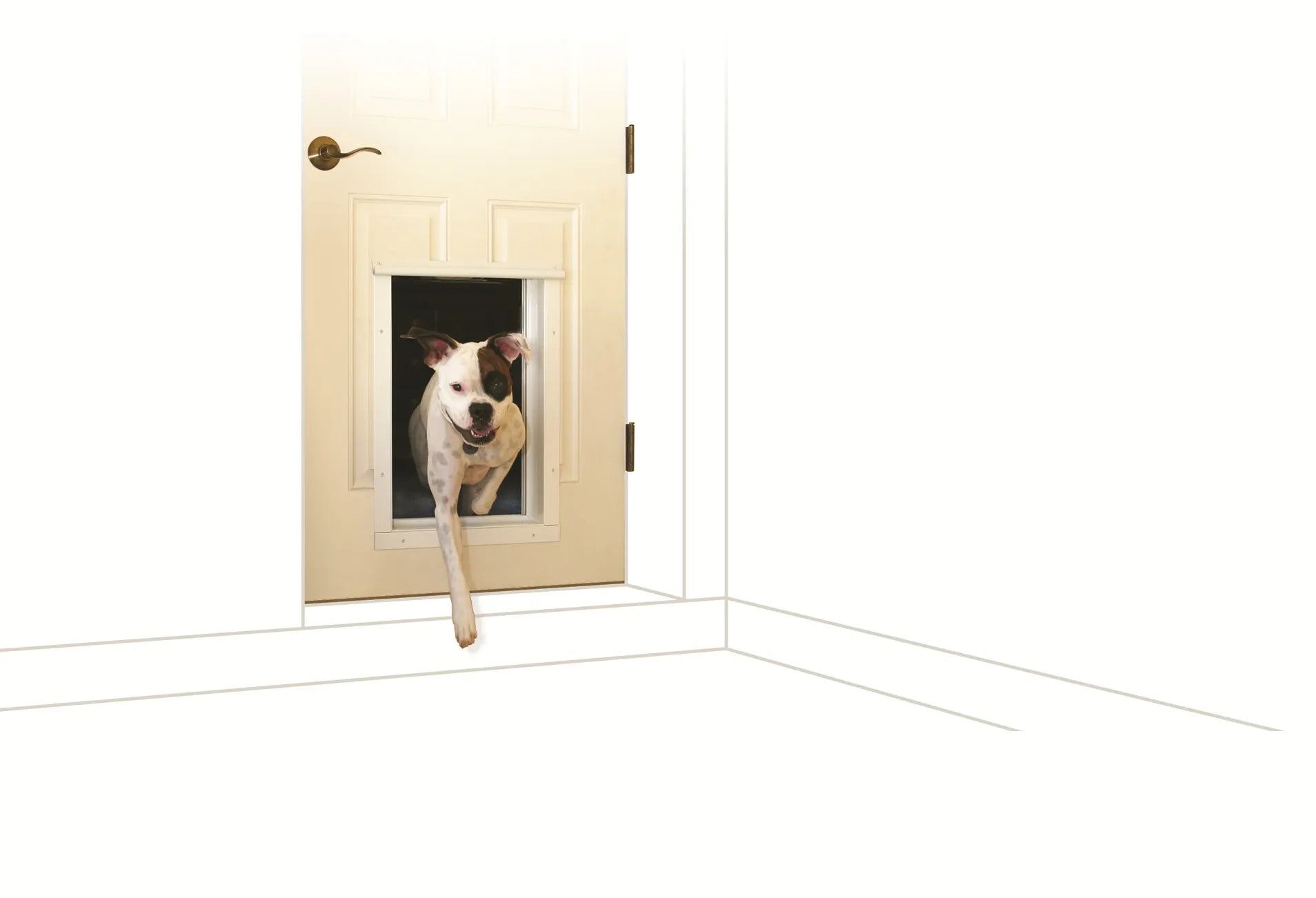 PlexiDor Electronic Dog Door – RFID Automatic Pet Door for Door or Wall