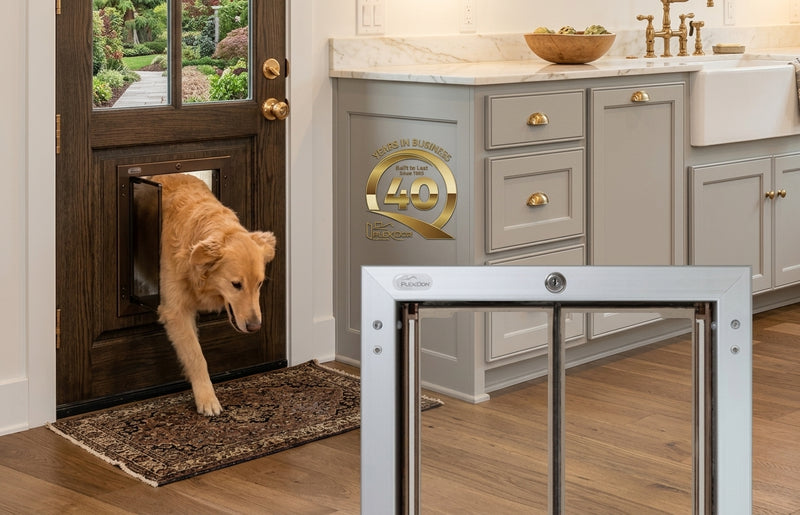 A golden retriever walks through a Plexidor pet door installed in a dark wood entryway door, with a white-framed pet door shown in the foreground. The scene is set in a kitchen with gray cabinets and wood flooring.