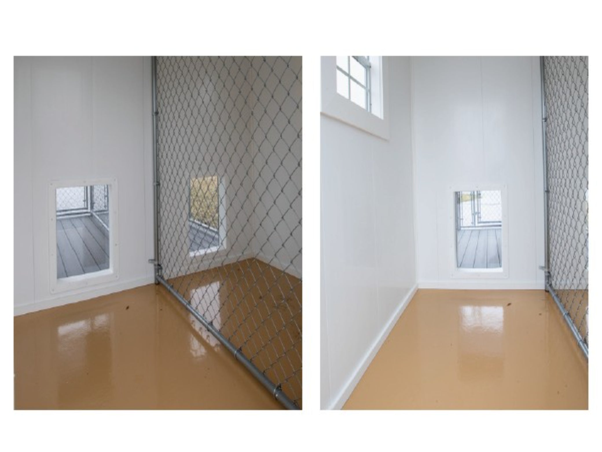 Polyurea Floor A lightweight and durable flooring for the dog kennel interior, with a non-slip finish.